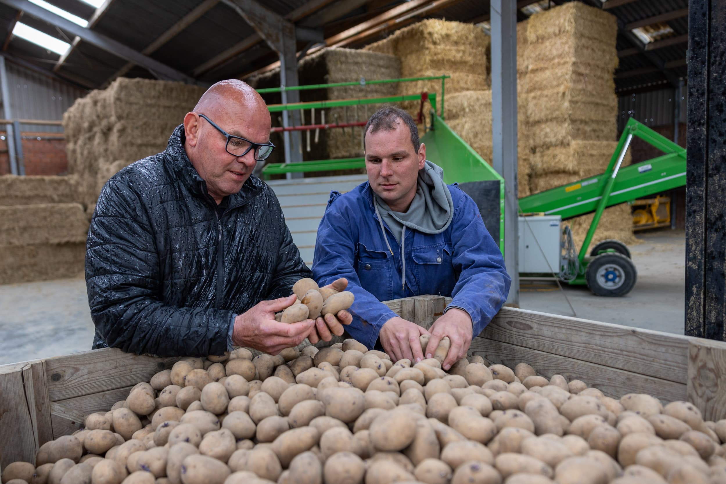 Peter Risseeuw (links) en Martijn (rechts) controleren het pootgoed. Ze telen 20 hectare fritesaardappelen. Hopelijk kunnen ze nu binnenkort het land op. – Foto’s: Peter Roek