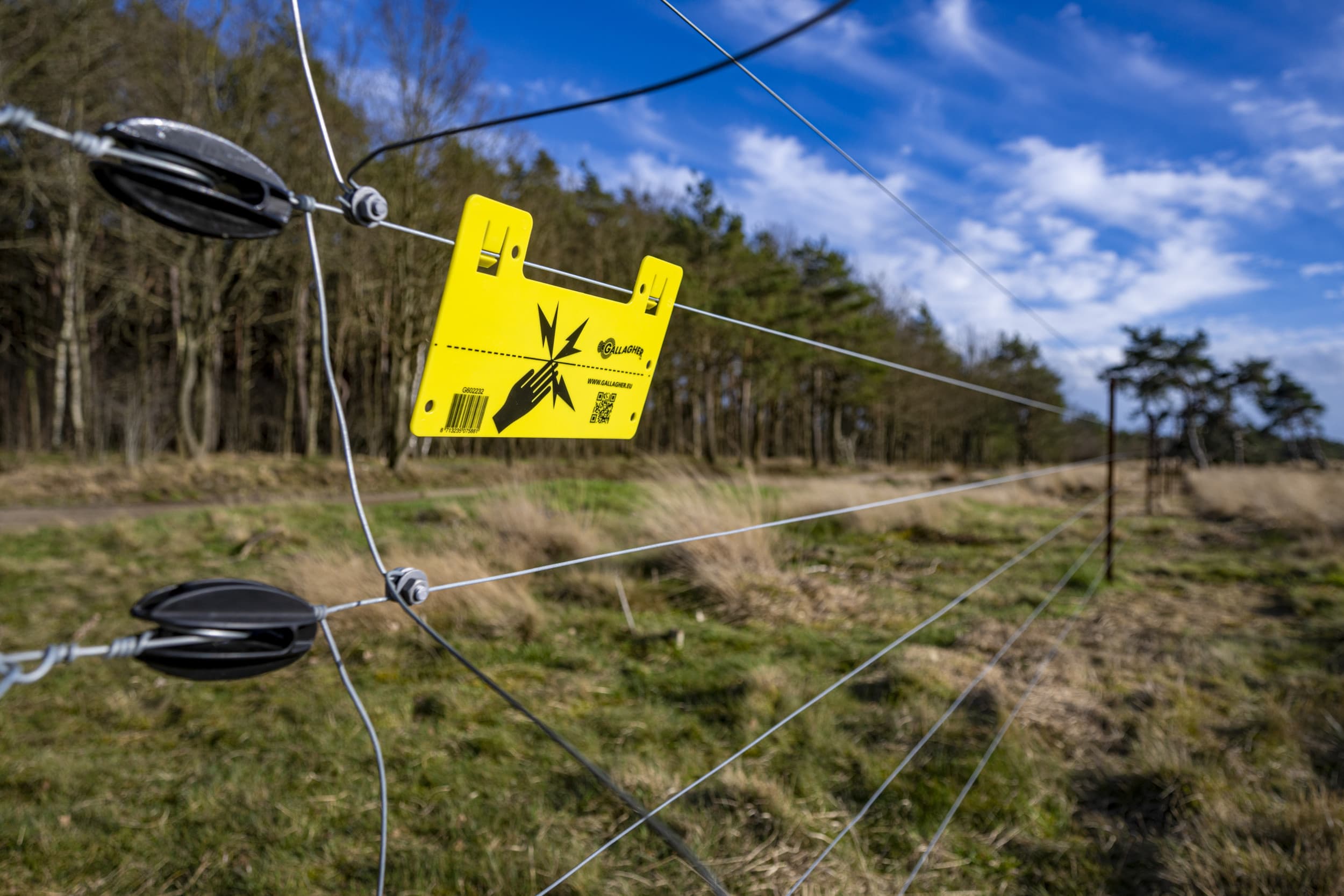Volgens het rapport van BIJ12 zijn wolfwerende rasters cruciaal om vee effectief te beschermen tegen aanvallen van wolven. – Foto: ANP