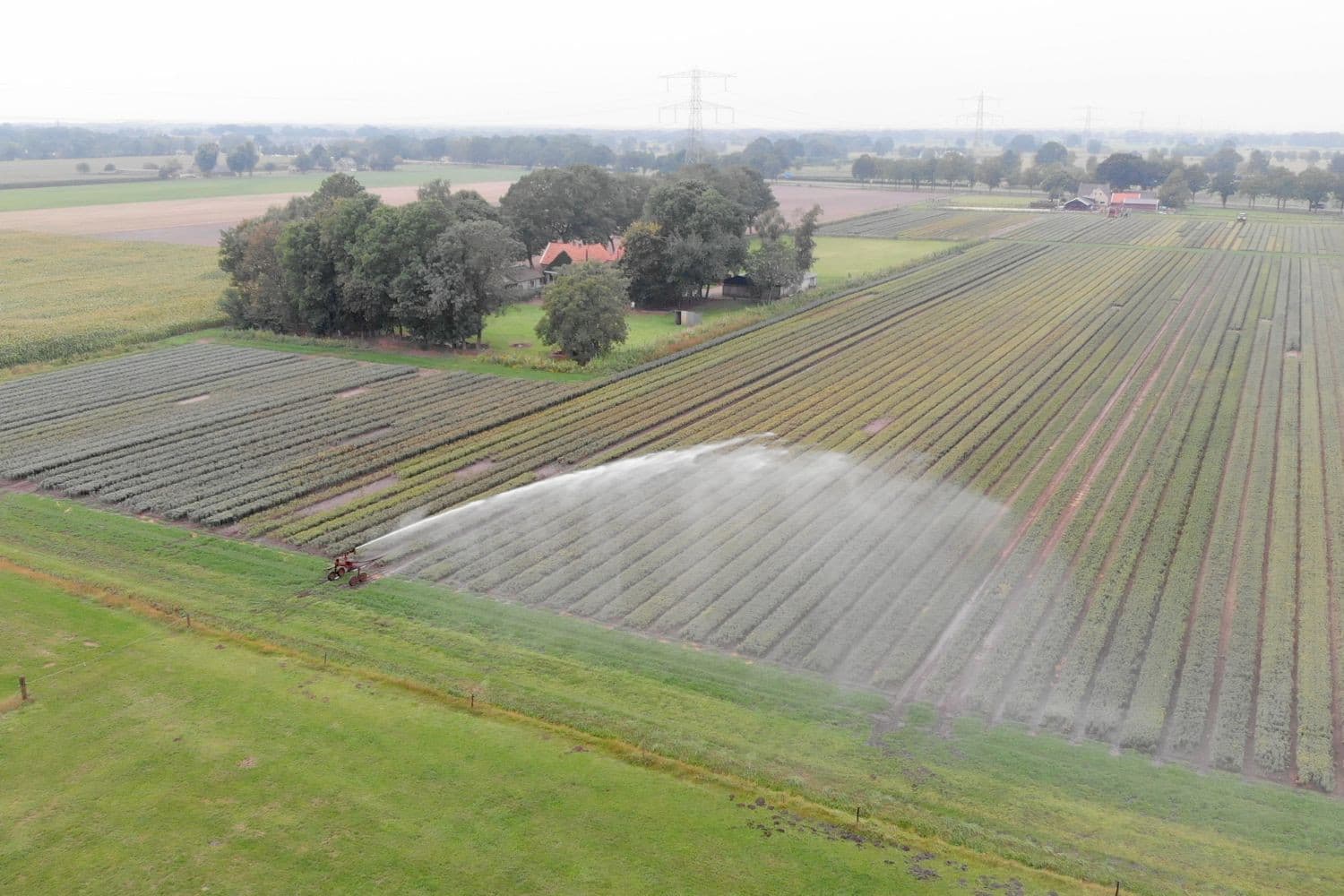 Het mee-beregenen van naastgelegen aardappelpercelen met een ander gewas is vanaf dit jaar verboden als er een beregeningsverbod geldt. – Foto: Jan Willem Schouten
