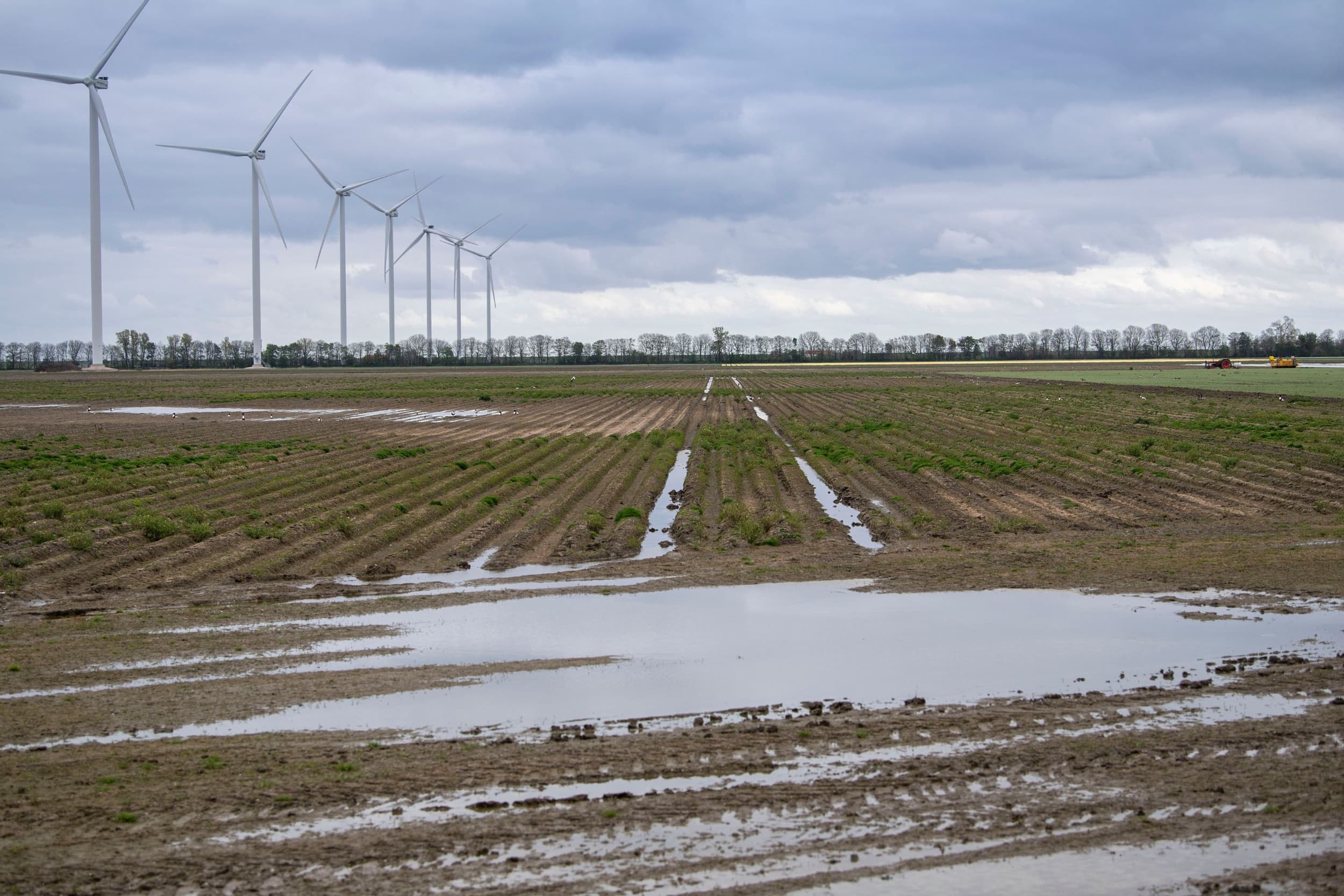 Een natte bodem door het slechte weer. – Foto: Mark Pasveer