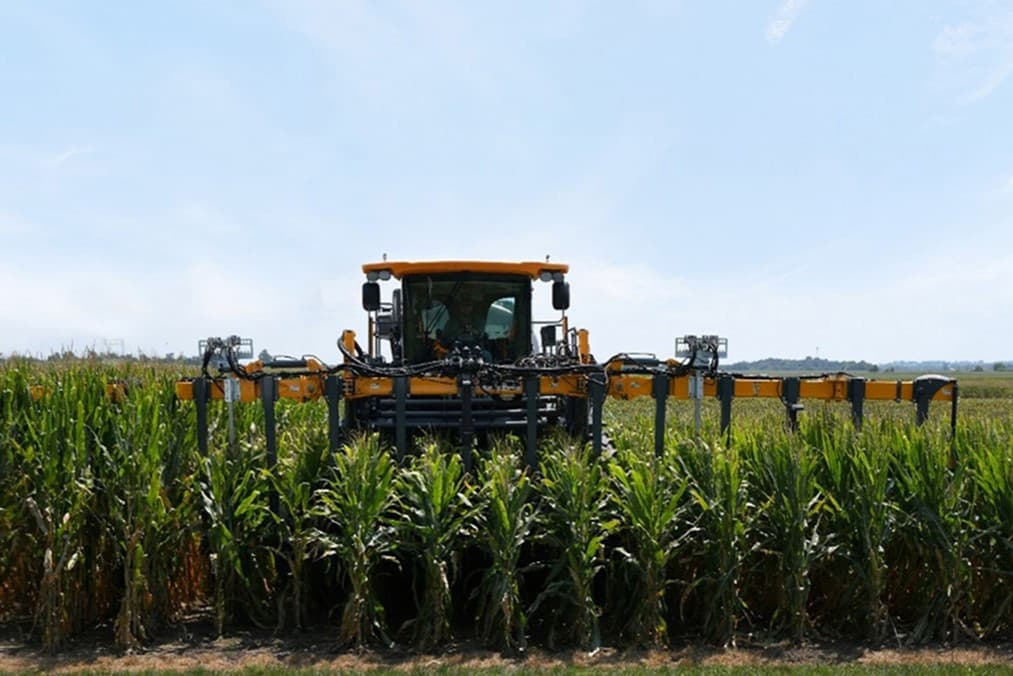 Na de introductie in Amerika wil Bayer korte mais ook in andere landen op de markt brengen, beginnend met traditioneel gekweekte zaden, gevolgd door genetisch gemanipuleerde variëteiten. – Foto: Bayer