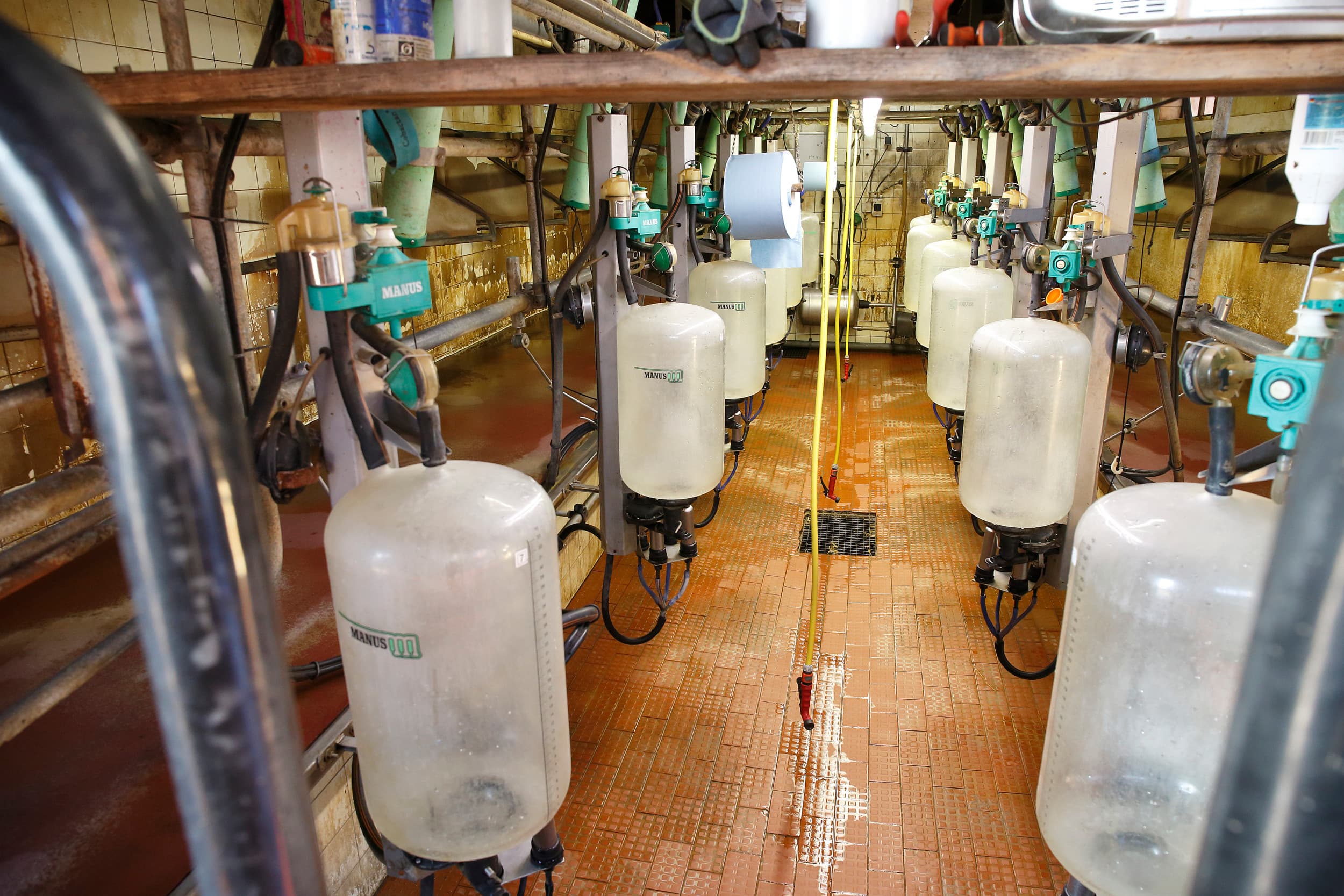 Milk Trading Company leden