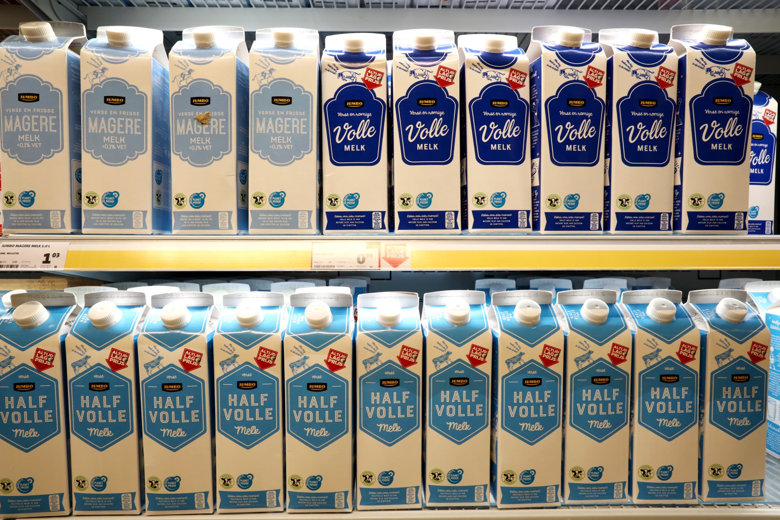 Melk onder Planet Proof. – Foto: Henk Riswick