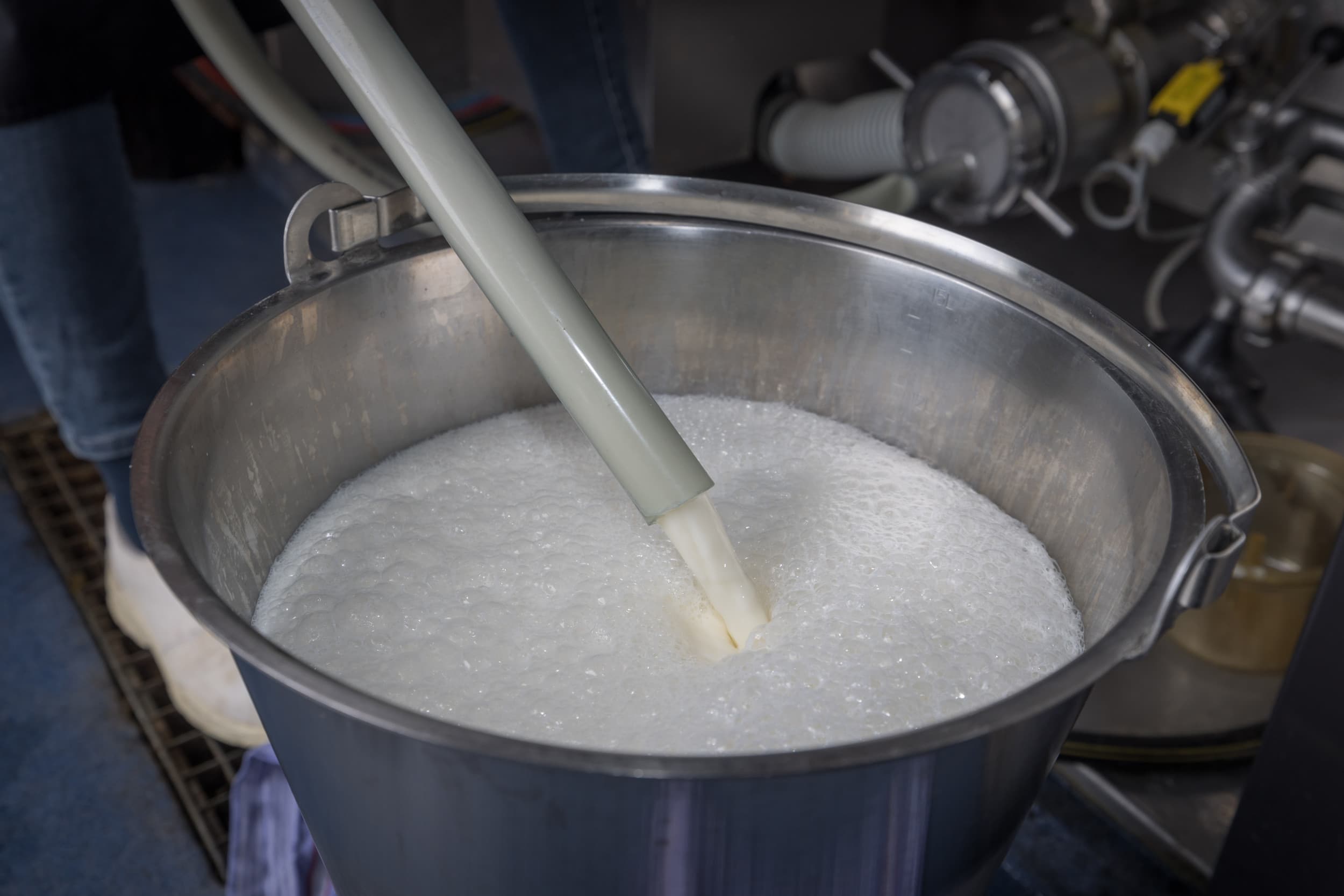 Mars richt samen met FrieslandCampina het Sustainable Dairy Development Program op. Binnen dit programma, bij FrieslandCampina bekend en onderdeel van de Ontwikkelgroep, worden leden-melkveebedrijven op papier gekoppeld aan de levering van zuivel aan Mars. – Foto: Peter Roek