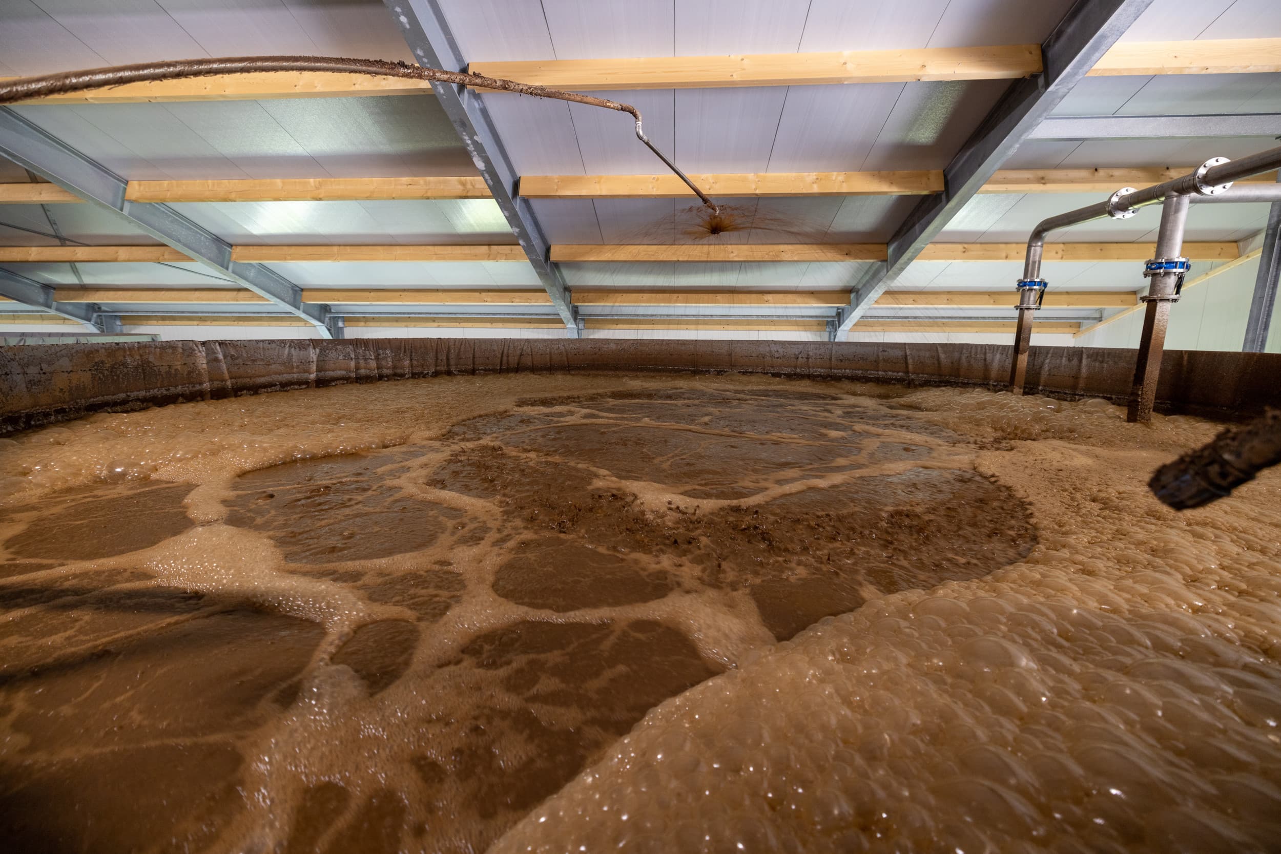 Het proceswater wordt deels hergebruikt om na het spoelen van de putten een laagje water in het mestkanaal te laten lopen. – Foto: Peter Roek.