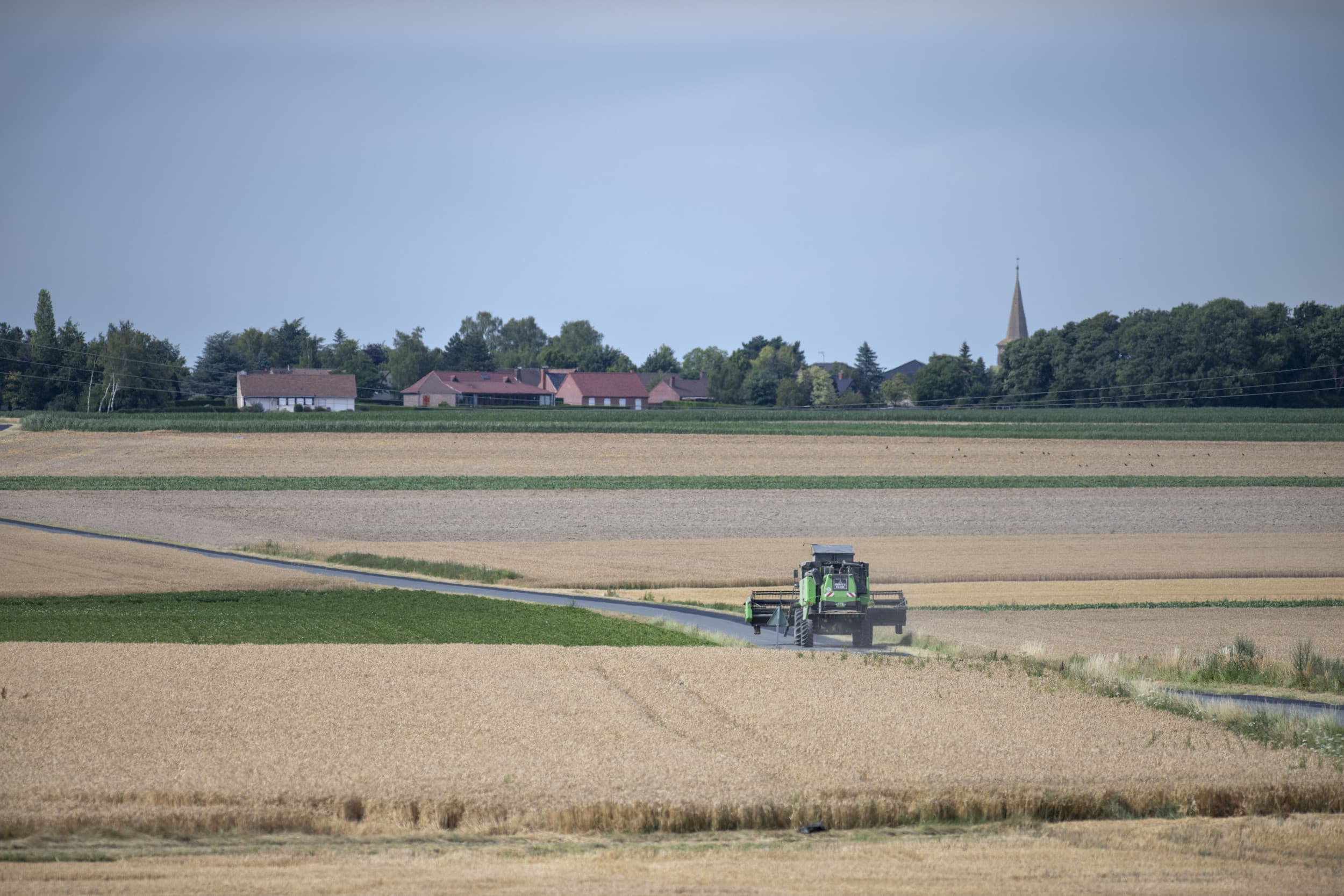 Uit haar onderzoek blijkt dat er in Frankrijk jaarlijks rond de 500 keer een aanklacht wordt ingediend wegens vermeende overlast van agrarische activiteiten. – Foto: Mark Pasveer