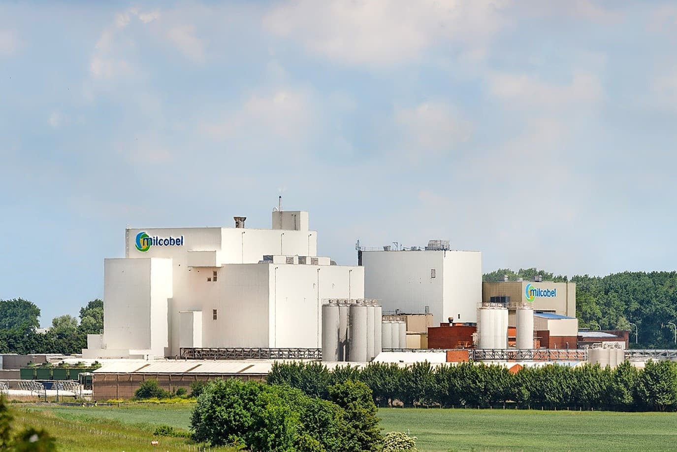 verlies en reorganisatie zuivelconcern milcobel
