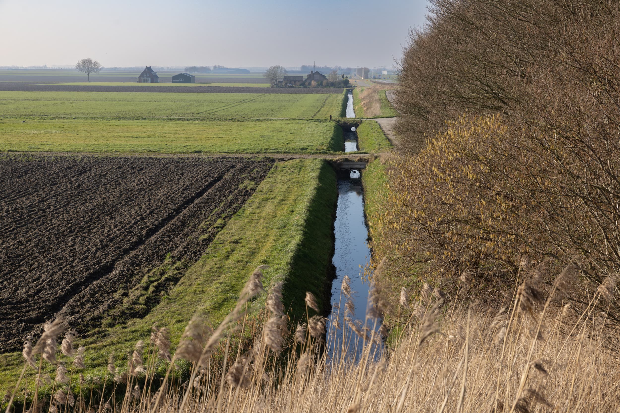 Een meerderheid van het Europees Parlement is voor het schrappen van de verplichte 4% braaklegging van bouwland in het Gemeenschappelijk Landbouwbeleid, de GLMC 8-regel. – Foto: Peter Roek
