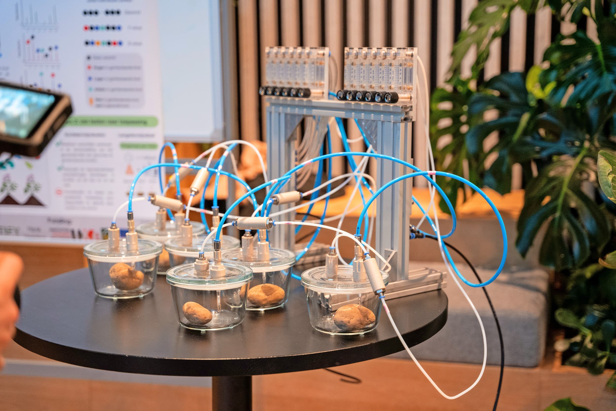 Knollen van Y-virus geïnfecteerde aardappelplanten geven geurstoffen af. De samenstelling van de uitgestoten geurstoffen uit de knol is te analyseren met gaschromatografie en massaspectrometrie (GC-MS). Deze zeer gevoelige en accurate methode bepaalt de identiteit en concentratie van iedere geurstof in de mix. Omdat de analyse per knol nu nog ongeveer een uur kost, is het zeker nog niet geschikt voor grootschalig gebruik buiten het lab.