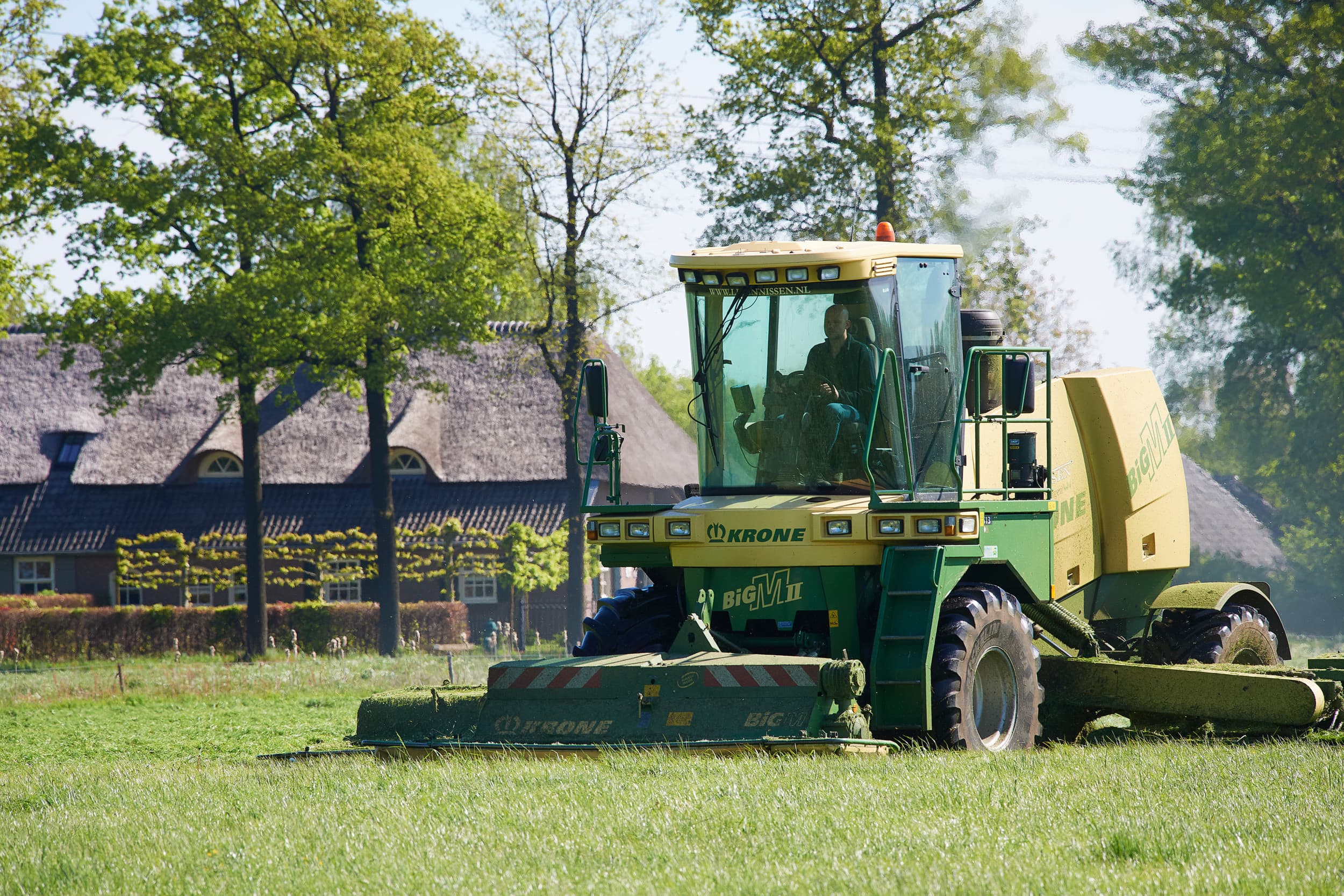 De eerste snede, met een wat lager drogestofgehalte dan normaal, is waarschijnlijk te snel verteerbaar om te gebruiken als enig ruwvoer in melkveerantsoenen. Daarom zal een tweede graskuil en/of snijmais aan het ruwvoer toegevoegd moeten worden. – Foto: Van Assendelft Fotografie