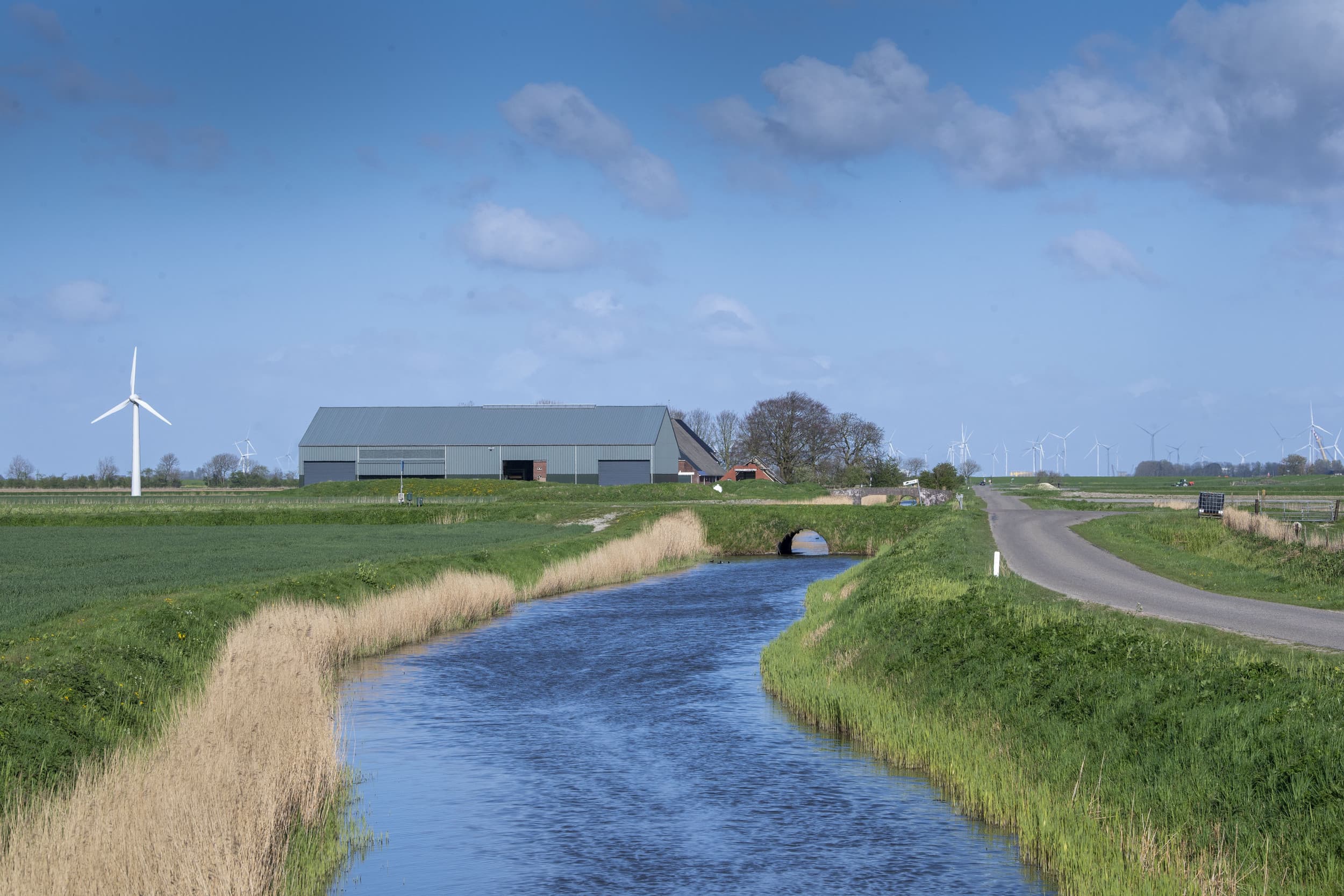 Het doel van de Nitraatrichtlijn is het bereiken van een goede chemische en ecologische kwaliteit van zowel oppervlakte- als grondwater, met 2027 als ijkmoment. – Foto: Mark Pasveer
