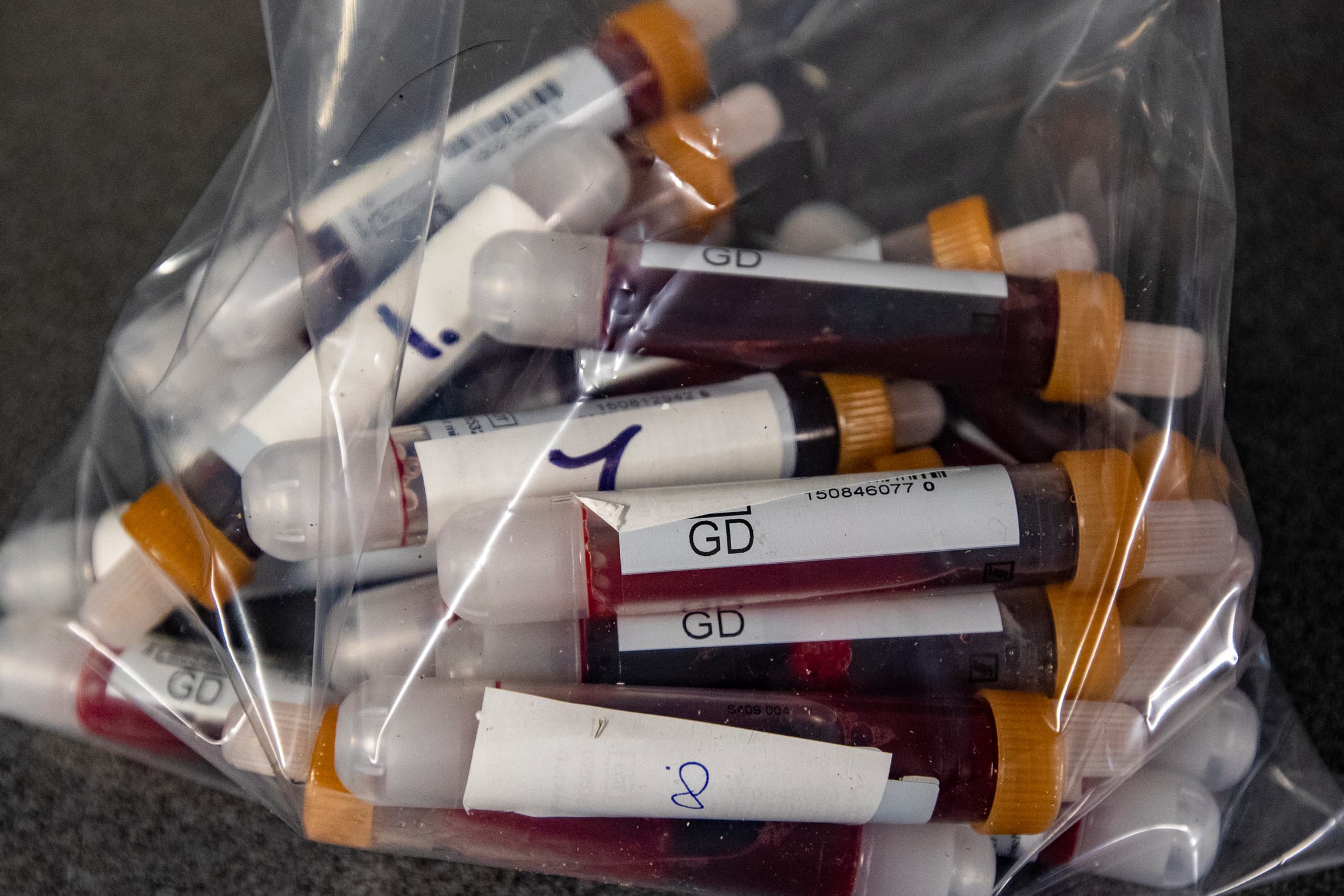 veldvirus PRRS