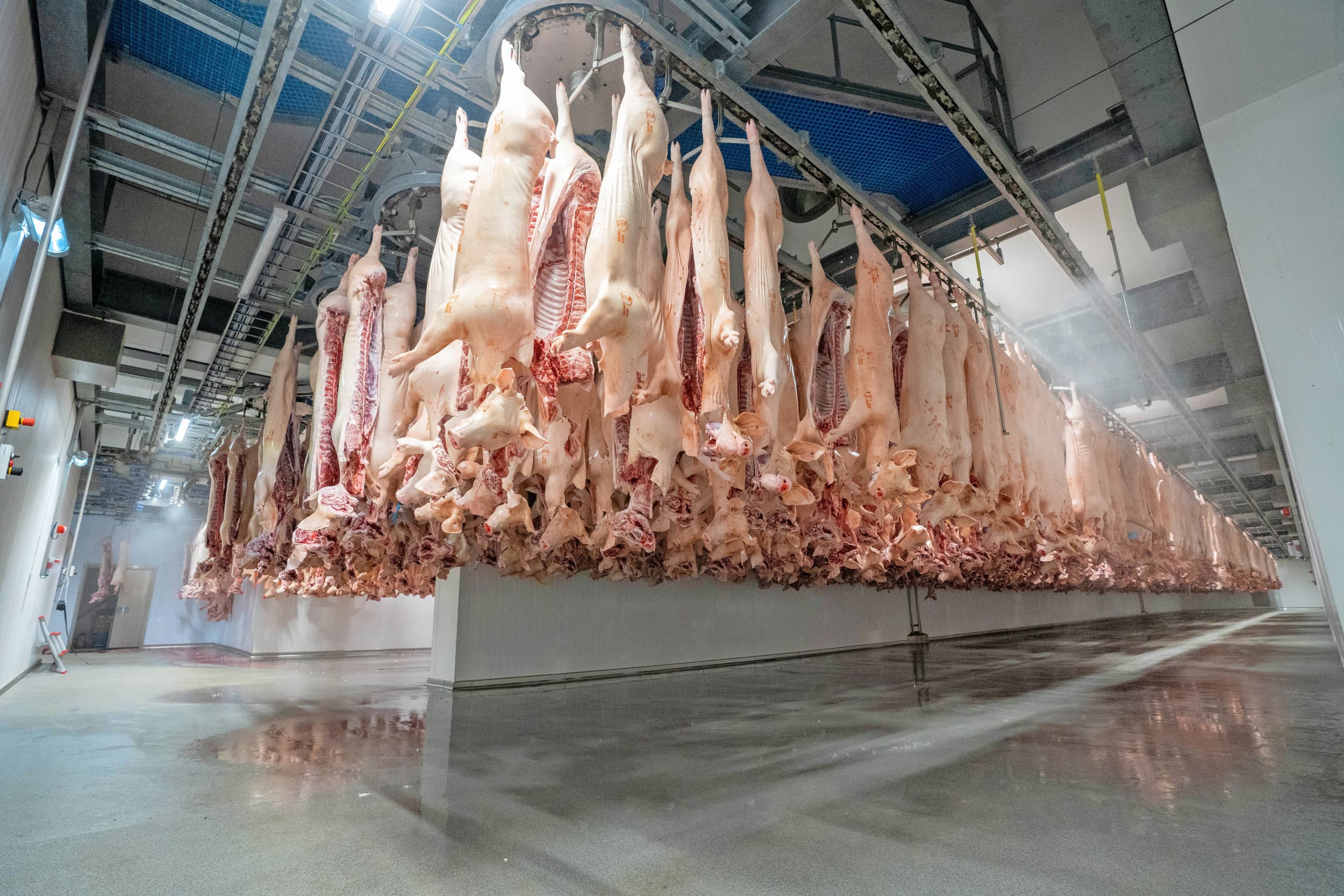 daling productie varkensvlees wereldwijd