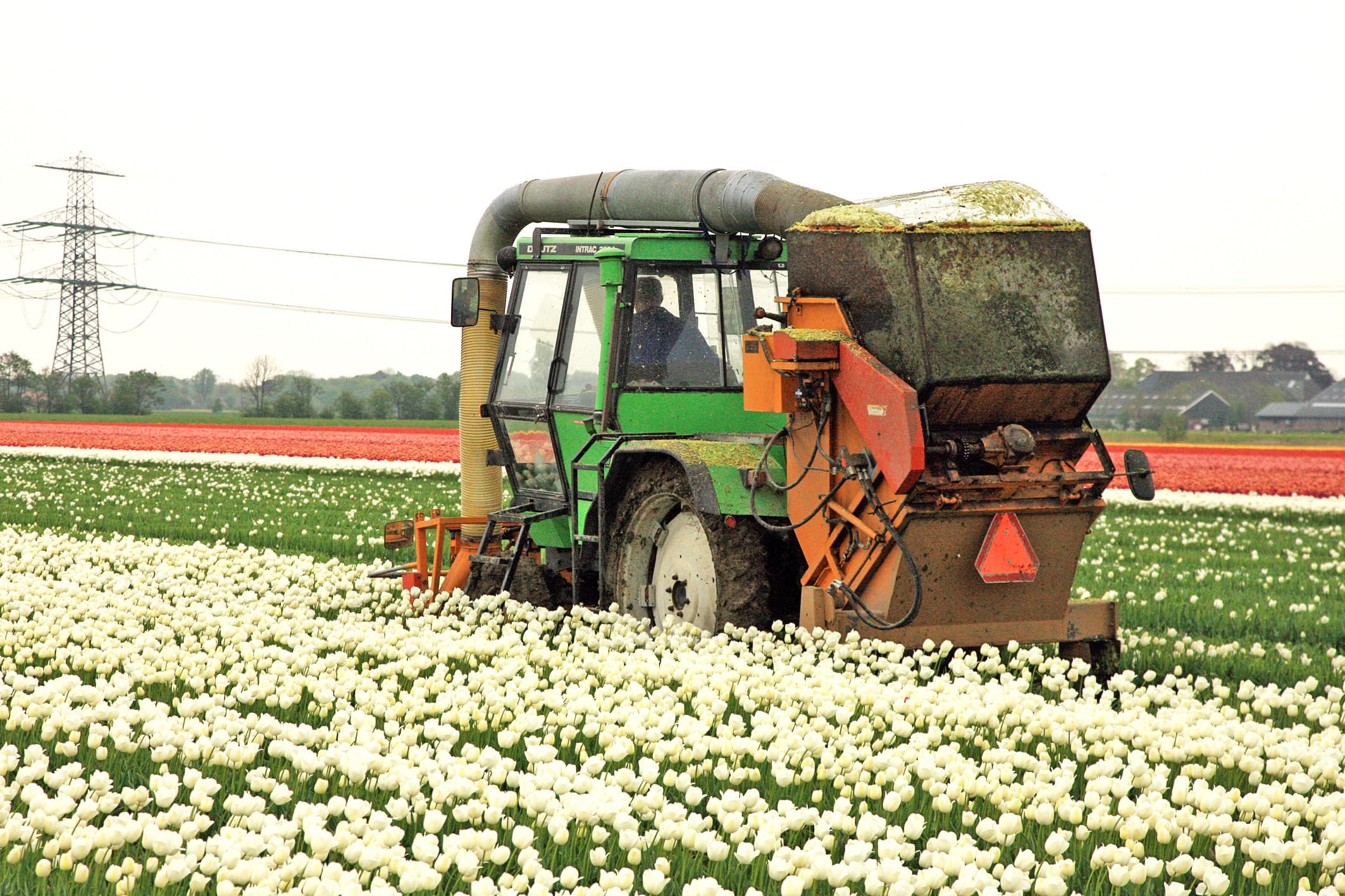 Minister Piet Adema bekritiseert de sierteeltsector voor onvoldoende inzet om het gebruik van gewasbeschermingsmiddelen te verminderen en eist ambitieuzere plannen voor duurzaamheid. – Foto: Koos van der Spek