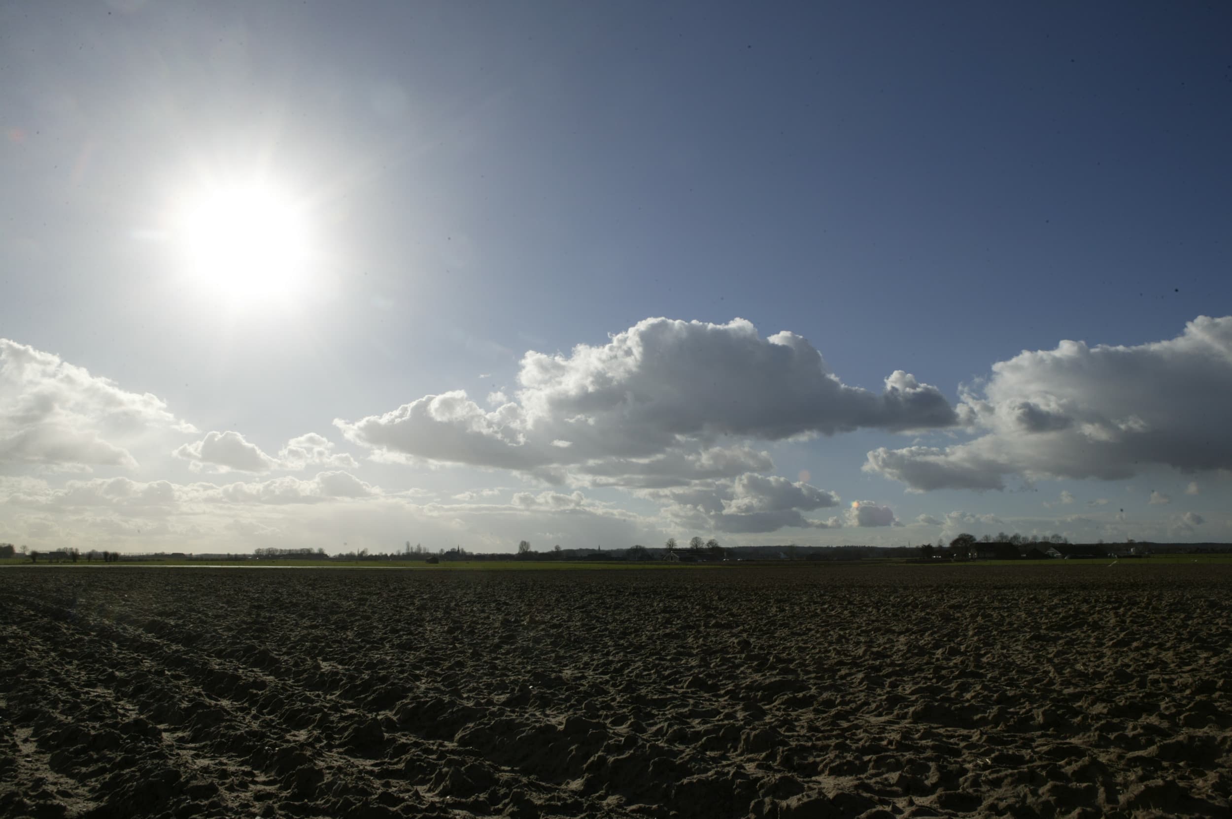 Rentmeestervennootschap. Ook geschikt voor grondgebonden landbouwbedrijven en nutsbedrijven, aldus columnist Pieter Seegers. – Foto: Mark Pasveer