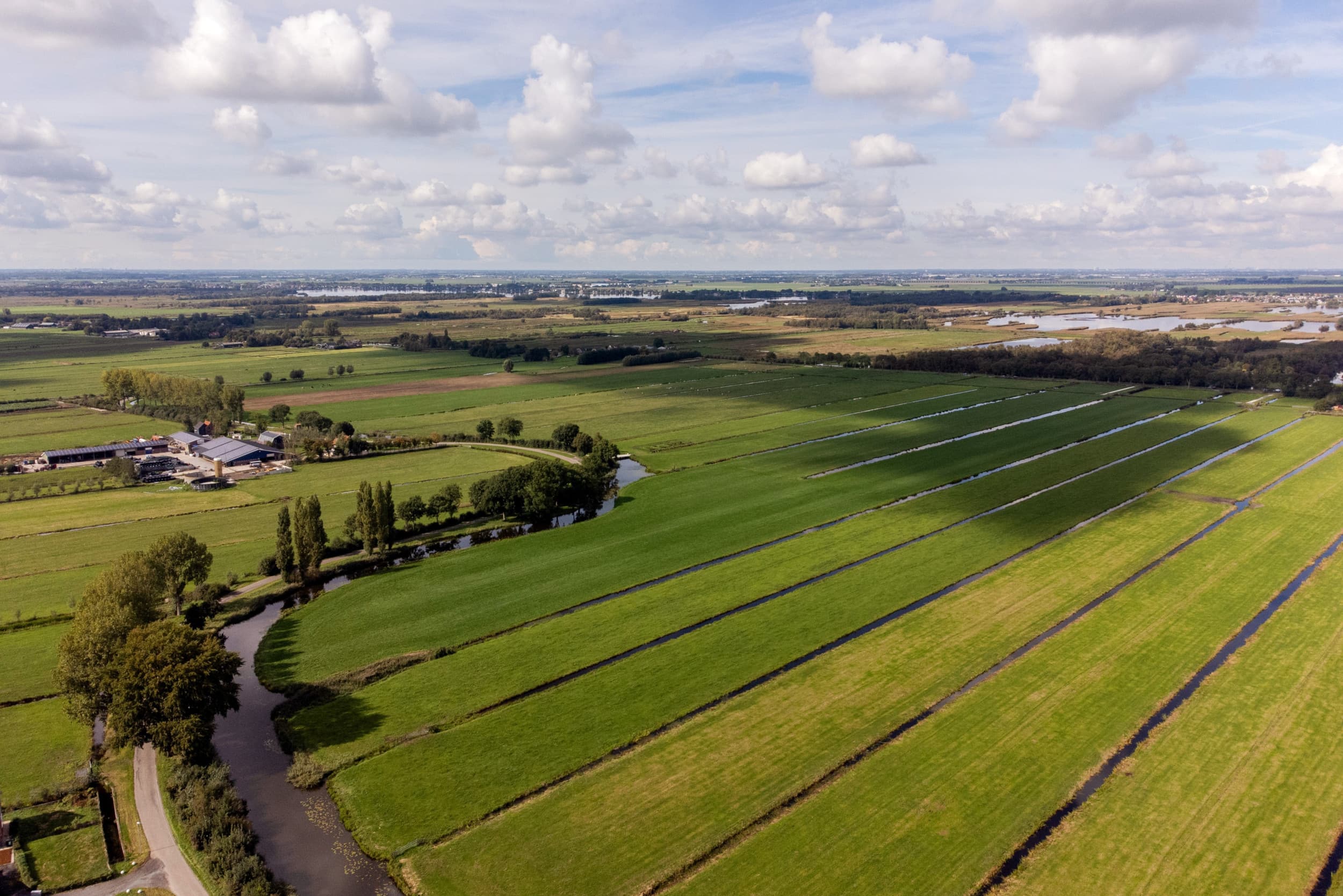 De staat moet binnen vier maanden een duidelijk plan met concrete maatregelen komen om de stikstofuitstoot naar beneden te brengen. Die eis legt Greenpeace donderdag voor aan de kortgedingrechter in Amsterdam. – Foto: Herbert Wiggerman