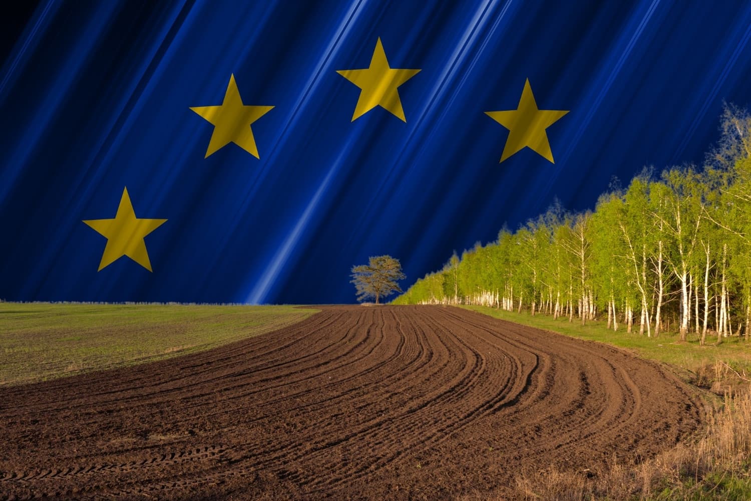 De enquête onthult diepgaande kritiek van Nederlandse boeren op de EU, maar benadrukt tegelijkertijd het belang van Europese samenwerking. – Afbeelding: Canva, beeldbewerking