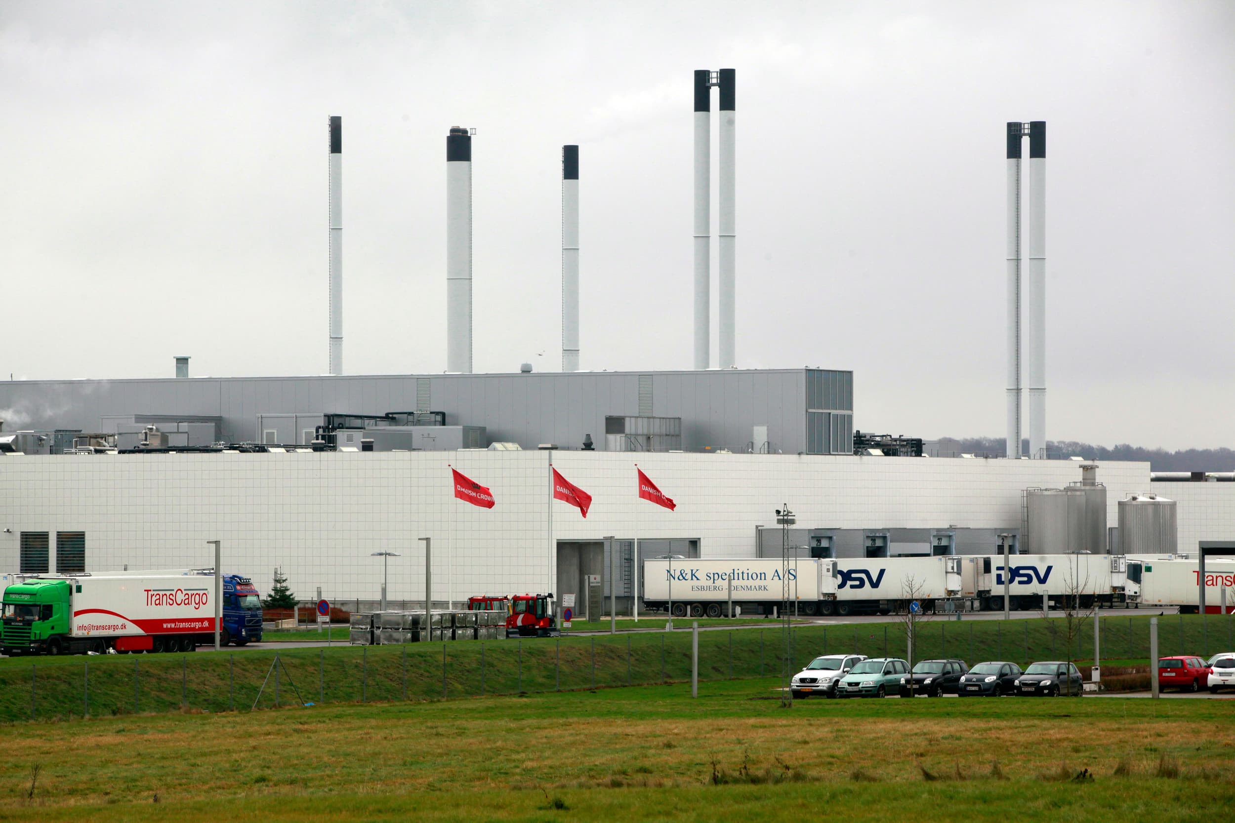 Een slachterij van Danish Crown in Herning, Denemarken. – Foto: Henk Riswick