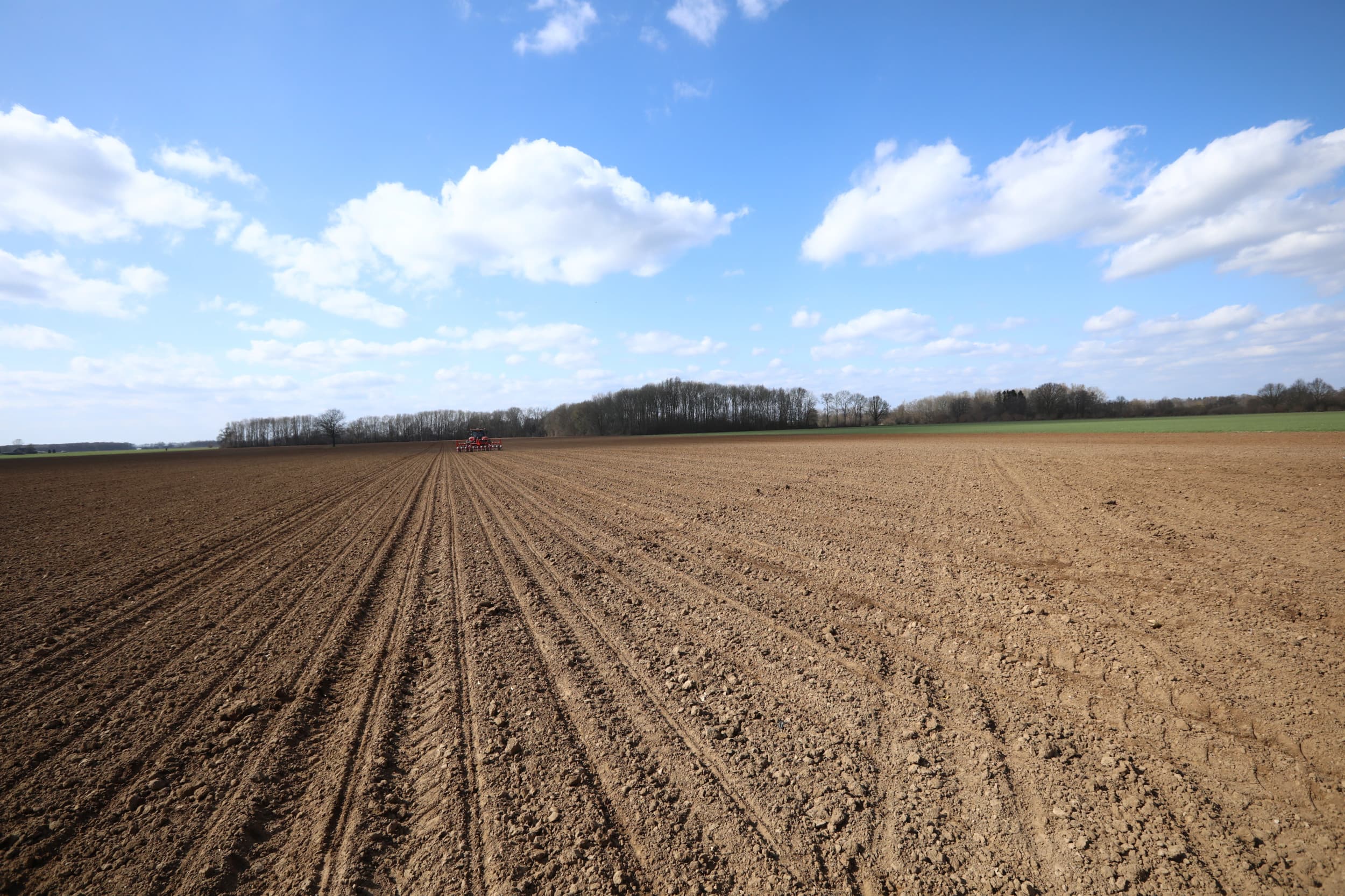 Met veel neerslag in het vooruitzicht hebben telers er voor gekozen om niet langer te wachten en toch maar te gaan zaaien. – Foto: Henk Riswick