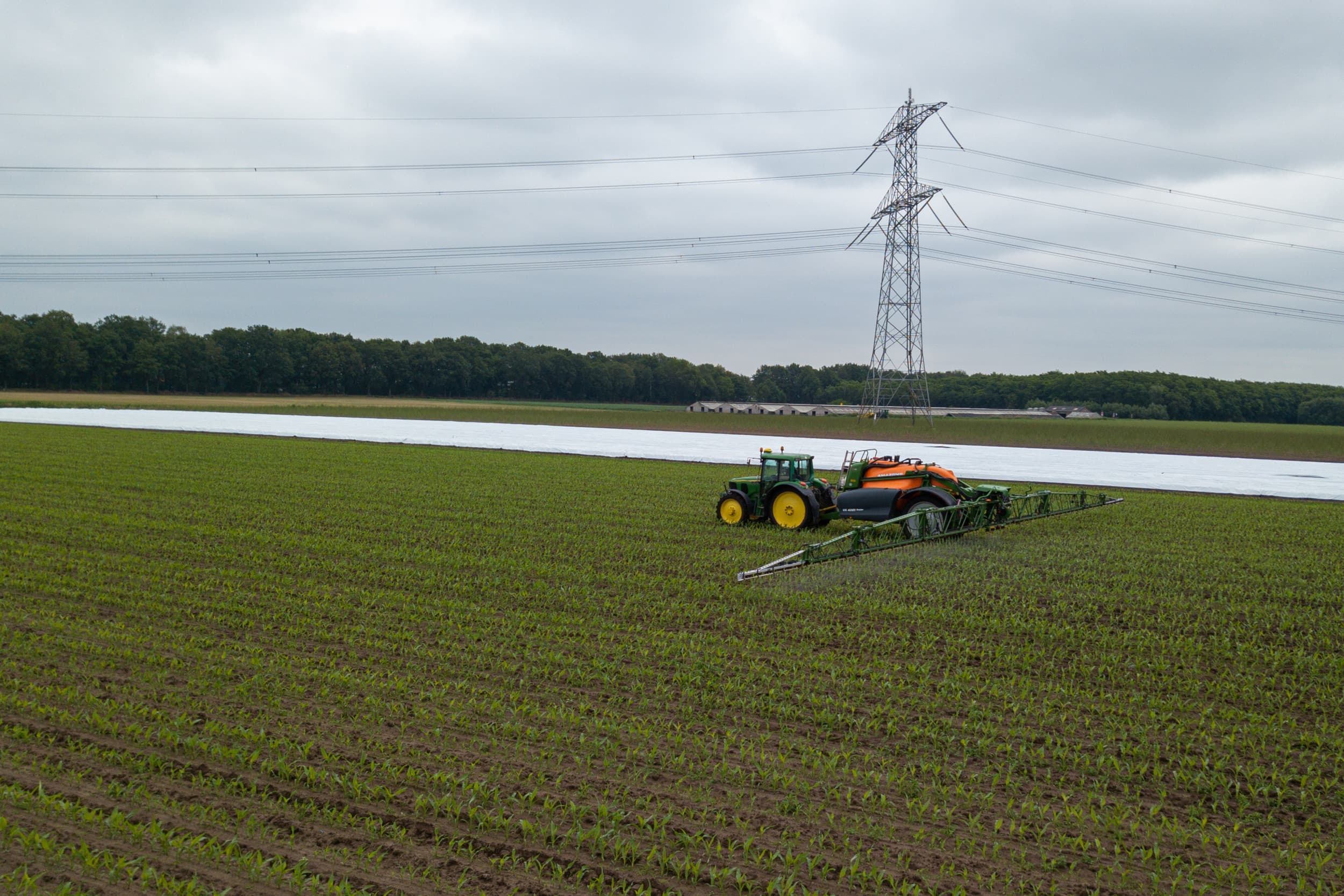 Foto: Peter Roek