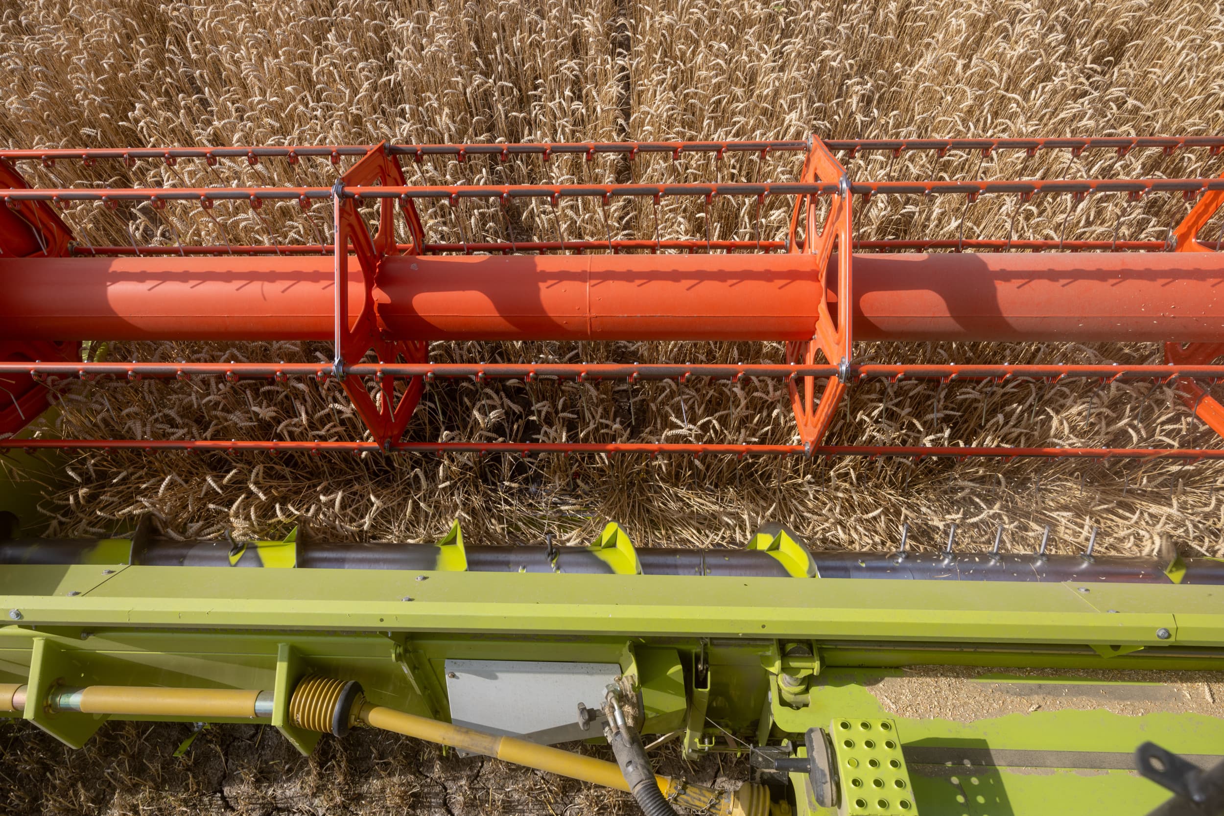 Voor zendingen uit onder meer Rusland hanteert de Europese Commissie aanvullende richtsnoeren voor de controlerende autoriteiten. Deze richtsnoeren bevatten verscherpte controle- en rapportagemaatregelen. – Foto: Peter Roek