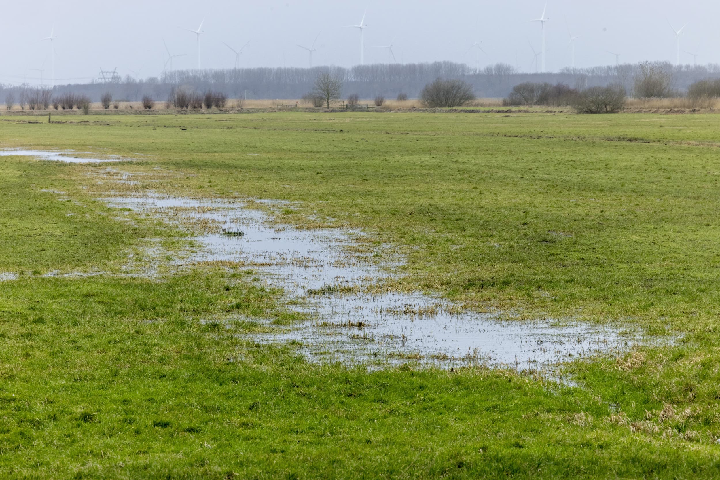 Het Deltaplan Agrarisch Waterbeheer (DAW) draait al meer dan tien jaar. Talloze voorlopers in de landbouw hebben hun nek uitgestoken om te werken aan schoner oppervlakte- en grondwater. – Foto: Koos Groenewold