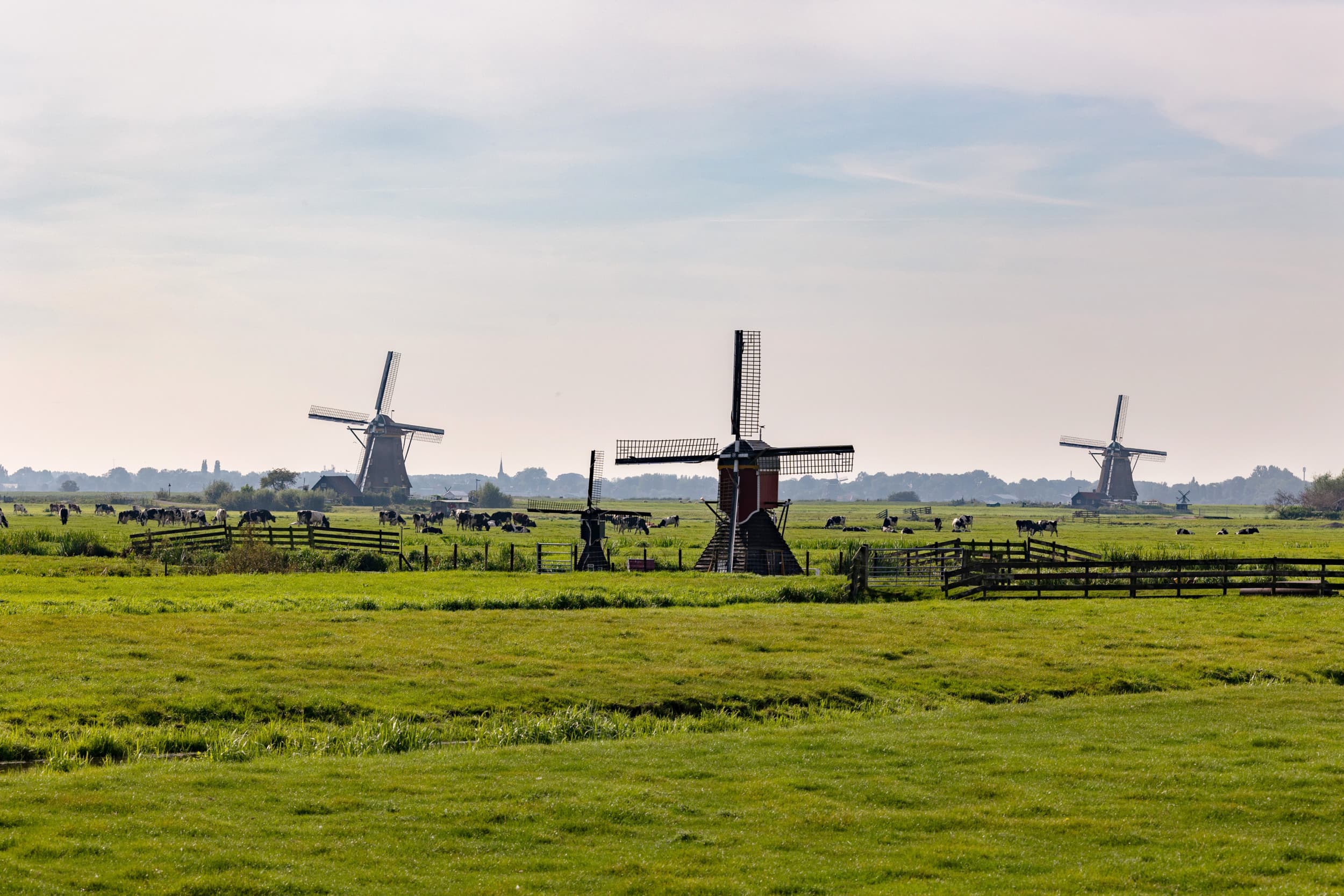 Foto: Herbert Wiggerman