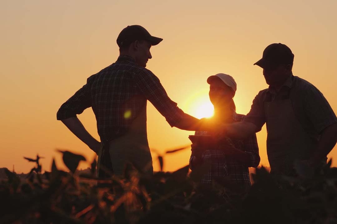 agrarische familiebedrijven