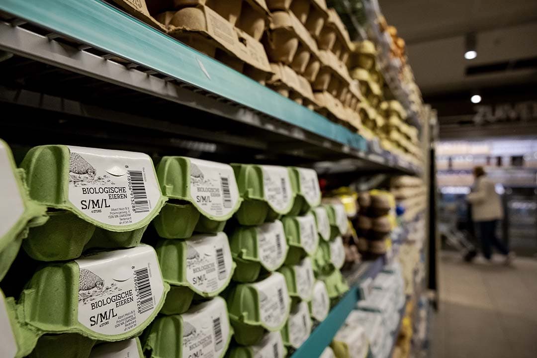 Foodwatch wil dat de verpakkingen van vrije-uitloopeieren worden aangepast zodra er een ophokplicht geldt. De voedselwaakhond wil hetzelfde voor de eierdoosjes van biologische eieren. – Foto: ANP