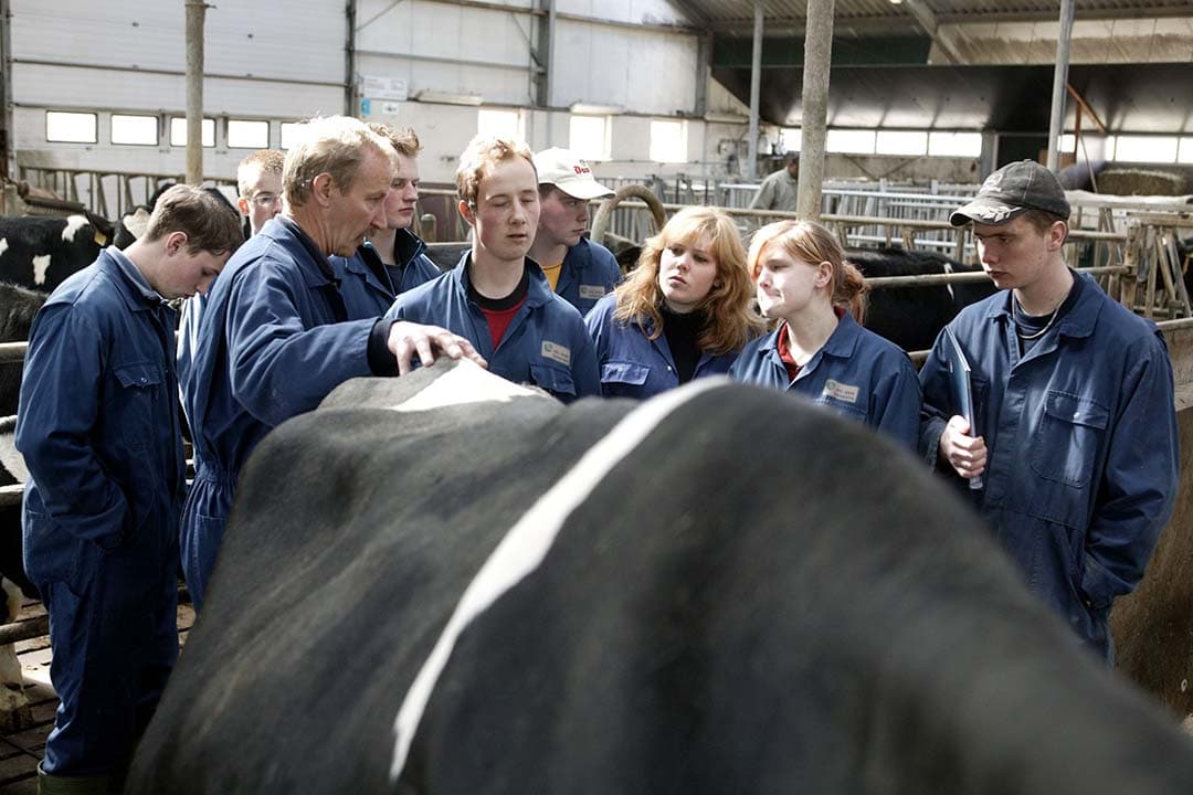 Een foto uit de oude doos. In 2006 kregen mas- of has-leerlingen praktijkles op PTC+ in het Friese Oenkerk (beter bekend als de praktijkschool). - Foto: Hans Prinsen