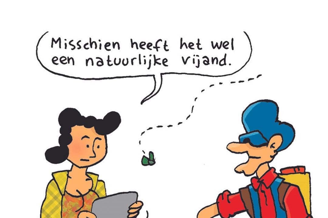 Afbeelding: Herman Roozen