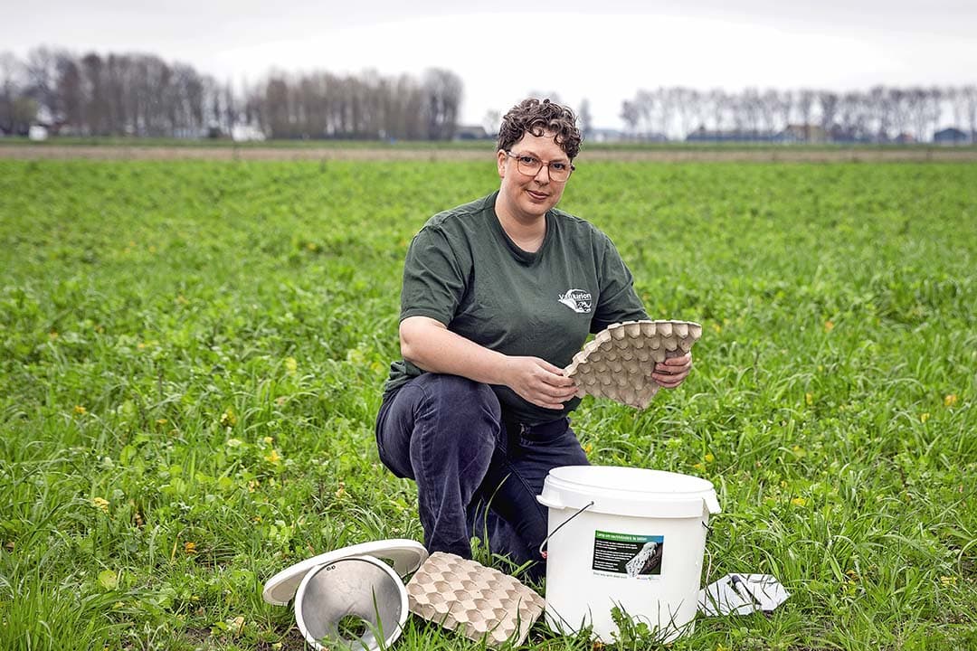 nachtvlinders boerenland