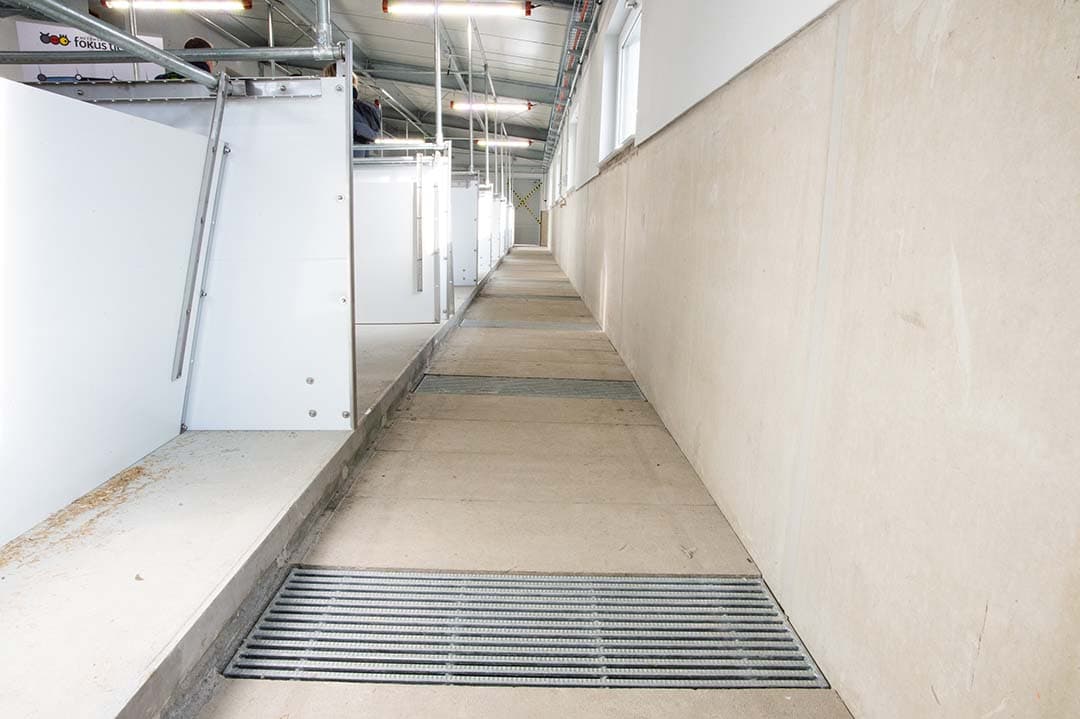 De frisse lucht komt door overdruk binnen in stal 1. Via ventielen gaat de lucht van het lig- naar het veel hogere mest- en vreetgedeelte van de stal.