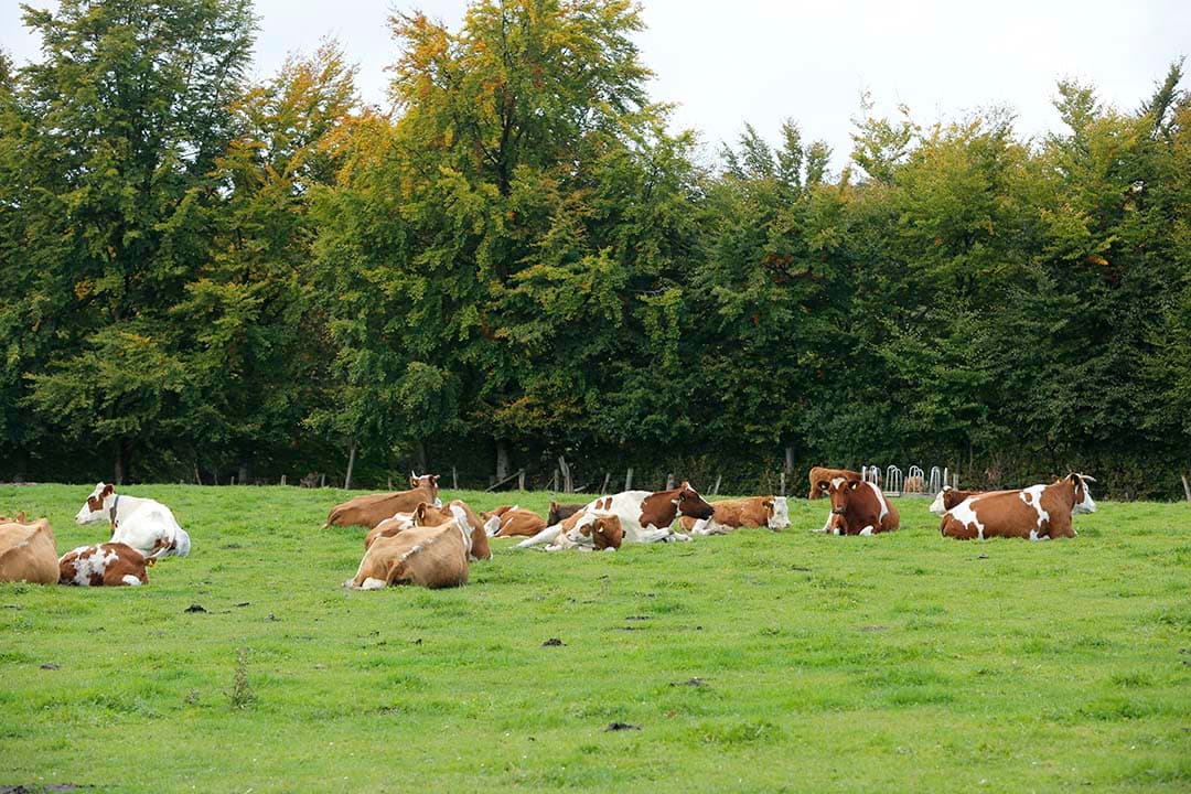 financiering landbouwtransitie duitsland