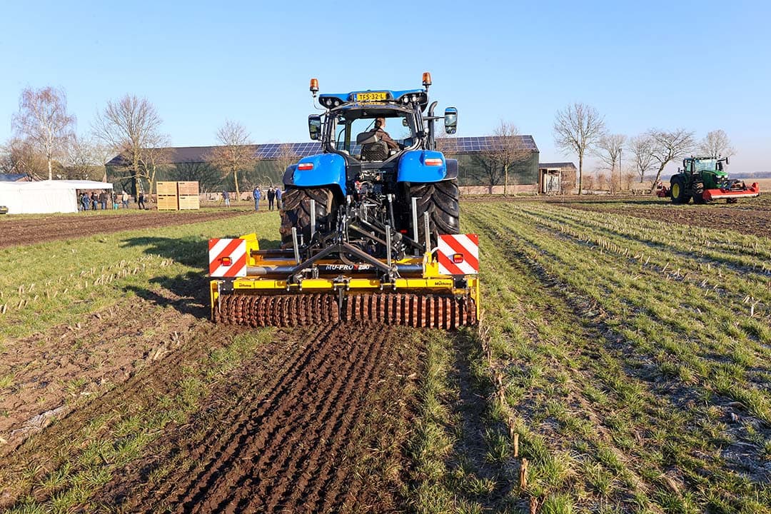Vernietigen vanggewas tijdens een demonstratie in Vredepeel. in de praktijk moeten nog veel percelen bewerkt worden. - Foto: Bert Jansen