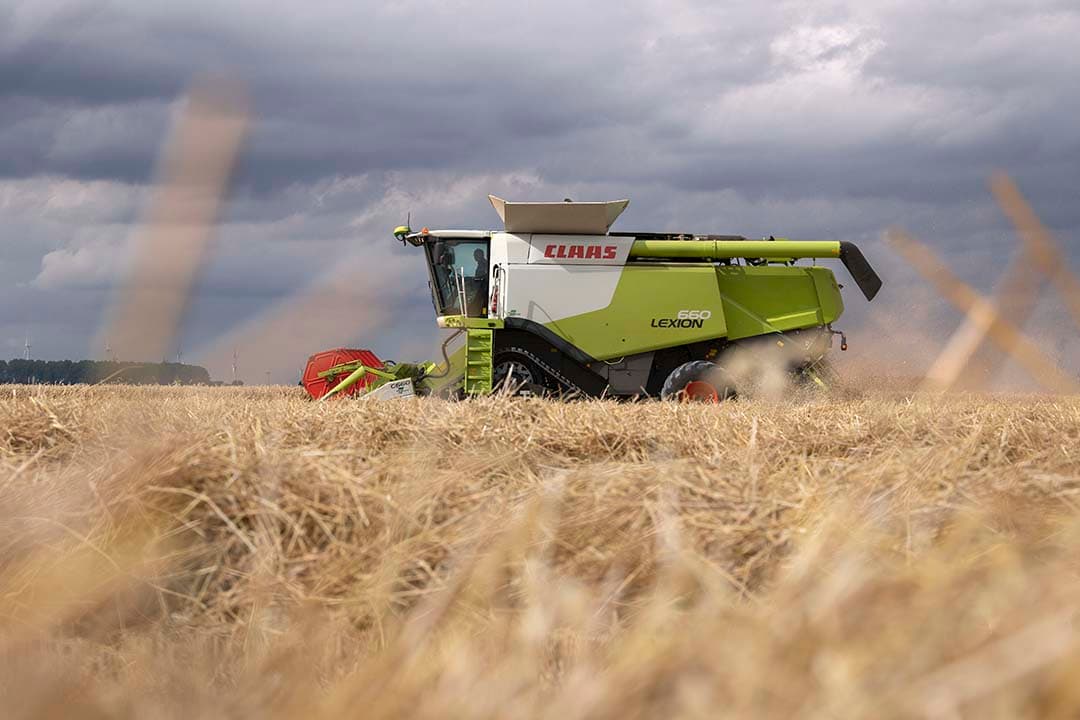 Verruiming van bouwplannen voor meer biodiversiteit kost geld. “Als telers rooigewassen inwisselen voor rustgewassen, zoals graan, verliezen ze veel geld aan opbrengstderving van rooigewassen”, zegt Ruthger Steenbeek van Countus. - Foto: Mark Pasveer