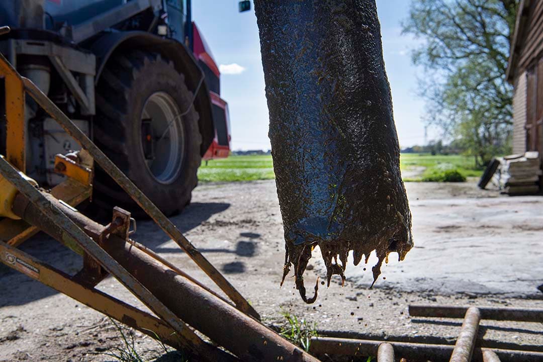 Agractie Nederland wil dat Adema de oude mestregels gedoogt om de uiterst knellende druk op de mestmarkt te verlichten. - Foto: Mark Pasveer