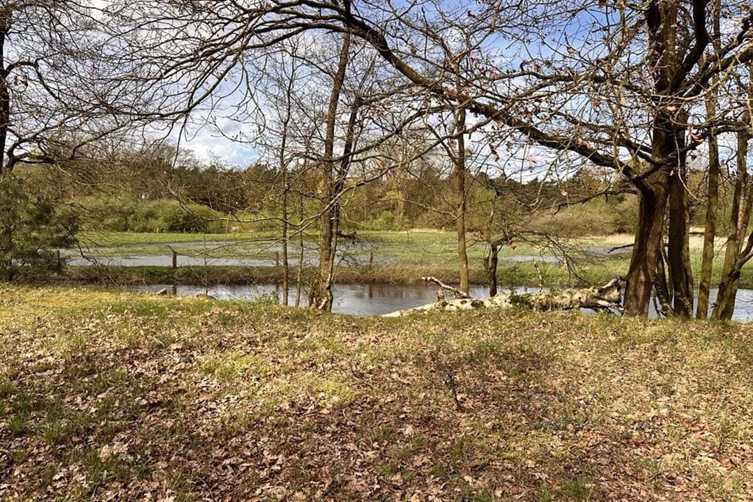 Van der Wal stelt dat er aanzienlijke inspanningen nodig zijn om de biodiversiteit te herstellen, een taak voor het toekomstige kabinet. - Foto: Martijn ter Horst