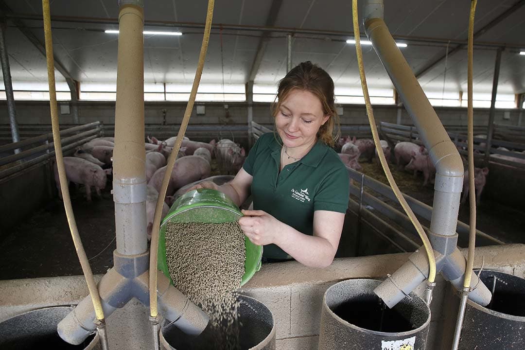 Michelle Thijsen: “We zijn drie jaar biologisch en ik weet het nu zeker: ik ga het bedrijf overnemen.” - Foto's: Hans Prinsen
