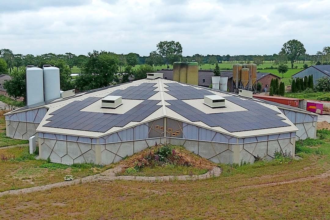 In 2019 nam Ivo Bekkers op een pachtlocatie in Venhorst (N.-Br.) een Familievarken-stal voor 48 zeugen en bijbehorende biggen en vleesvarkens in gebruik. De pachtovereenkomst eindigde begin vorig jaar. Sindsdien worden er geen varkens meer gehouden op deze locatie. - Foto: Henk Riswick