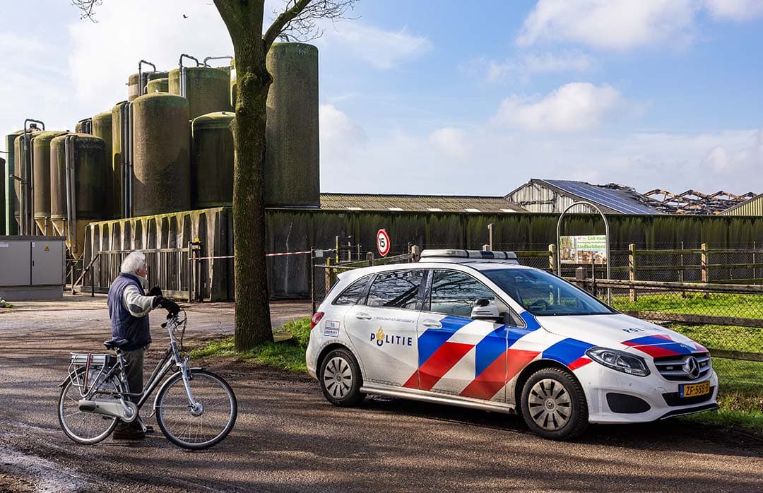 De varkensboerderij in het Brabantse Boekel na een grote brand. De politie vermoedt brandstichting en heeft een verdachte aangehouden. - Foto: ANP