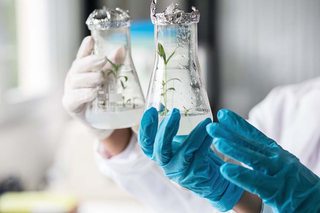 Biotechnologie belooft de landbouw te transformeren, waarbij innovaties en genetische technieken zowel milieuvraagstukken aanpakken als de sector toekomstbestendig maken. - Foto: Canva/Getty Images