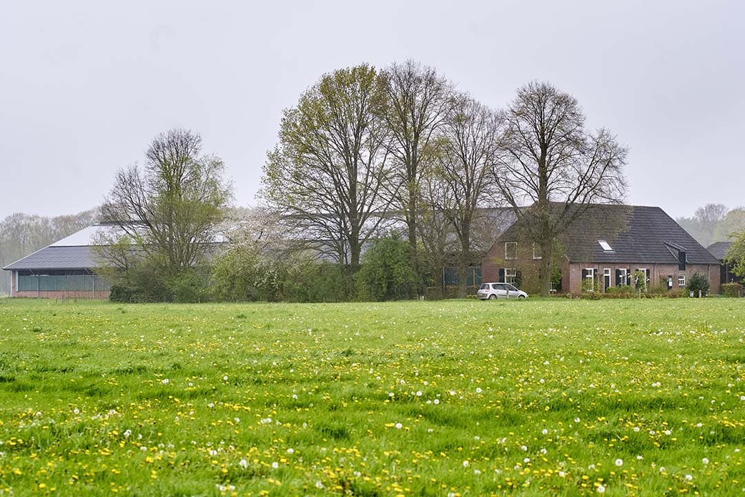 De provincie Noord-Brabant gaat de komende maanden in gesprek met onder meer natuur- en boerenorganisaties en Brabanders over de hoofdlijnen van de plannen voor de transitie van het landelijk gebied. - Foto: Van Assendelft Fotografie