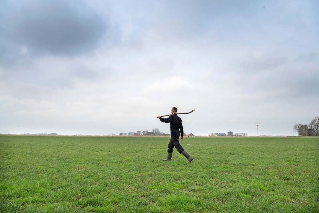 Grasland minimaal tien jaar lang niet scheuren is een van de manieren om extra CO2 in de bodem vast te leggen. - Foto: Mark Pasveer