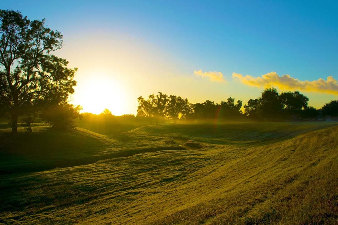 De Europese natuurherstelwet is vlak voor goedkeuring gestrand door een laatste moment blokkade, tot frustratie van veel EU-landen die de wet steunden. - Foto: Canva/Getty Images Pro