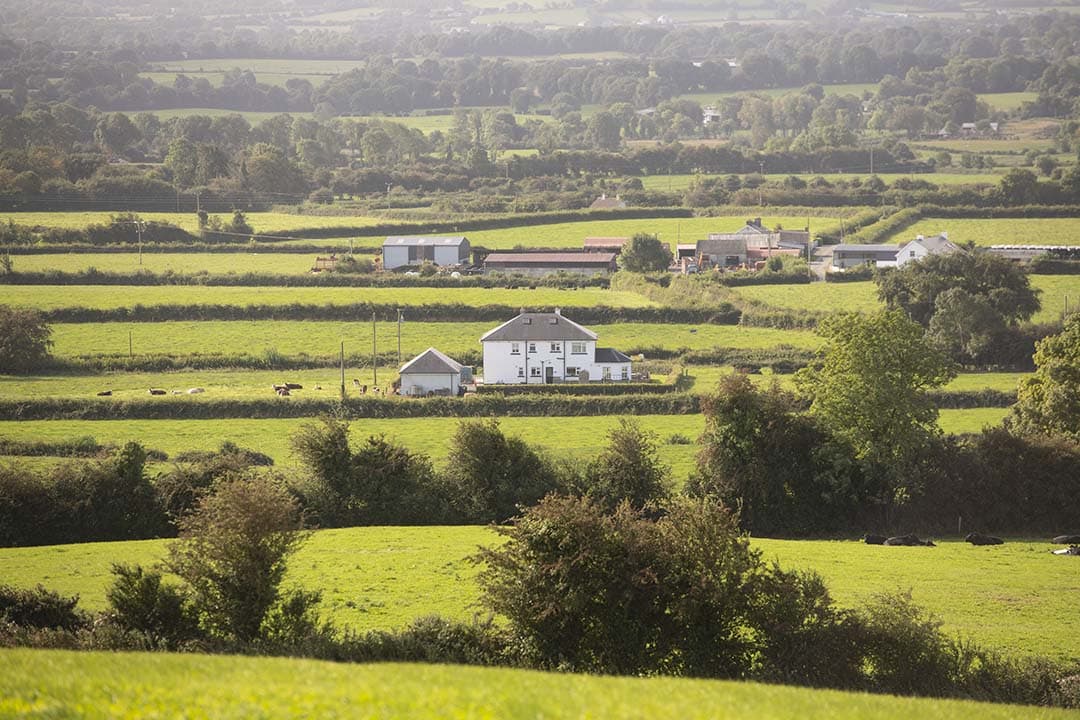 Nederland importeerde in de eerste elf weken van dit jaar 19.000 kalveren uit Ierland. Dat is minder dan de helft van het aantal in dezelfde periode van vorig jaar. - Foto: Mark Pasveer