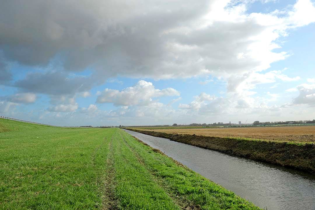 De Haarlemmermeer is een van de zeekleipolders waar door kwel  nutriëntrijk grondwater uit de diepe ondergrond het oppervlaktewater weet te bereiken. - Foto: Cor Salverius
