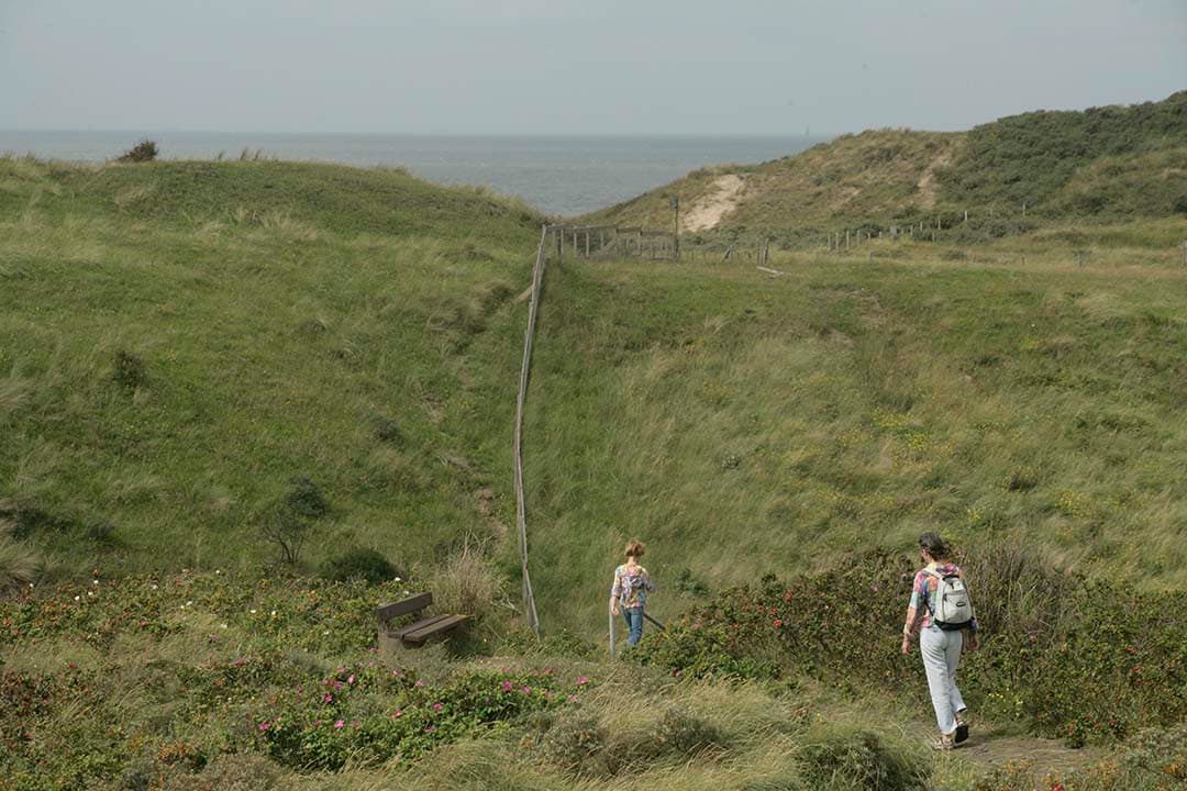 mob en gewasbescherming