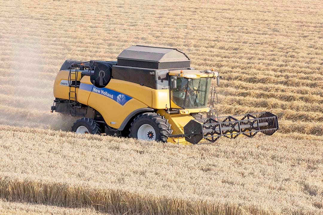 Foto: Koos van der Spek