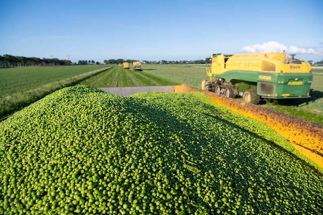 De verdeling van de consumenteneuro is scheef in de keten van bioconserven, zegt het Biologisch Conserven Comité. - Foto: Mark Pasveer